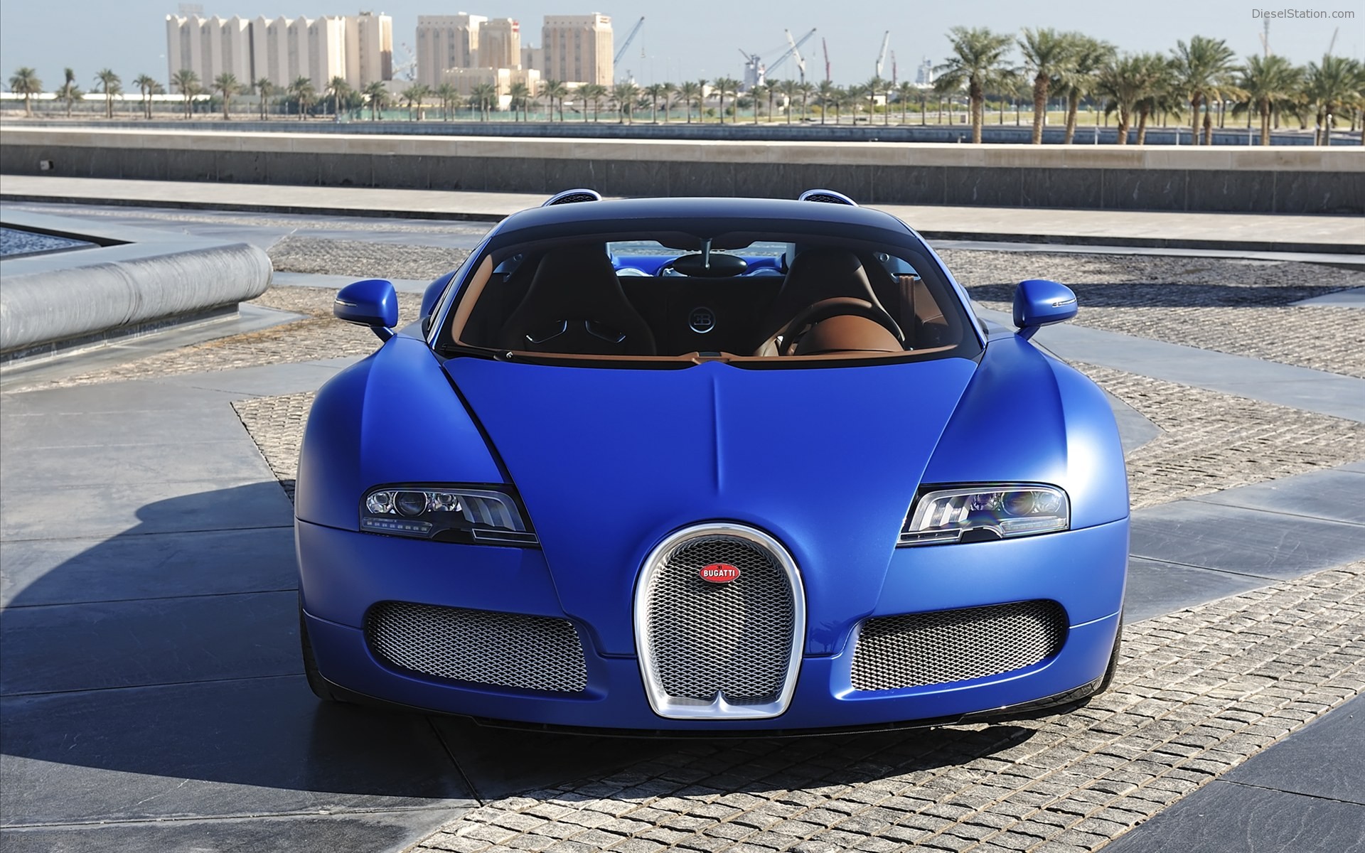 Bugatti Veyron 16.4 Grand Sport 2010
