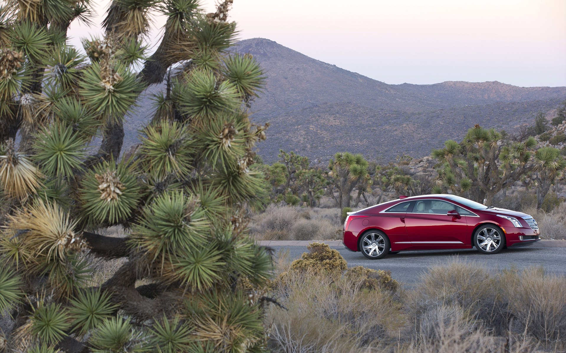 Cadillac ELR 2014