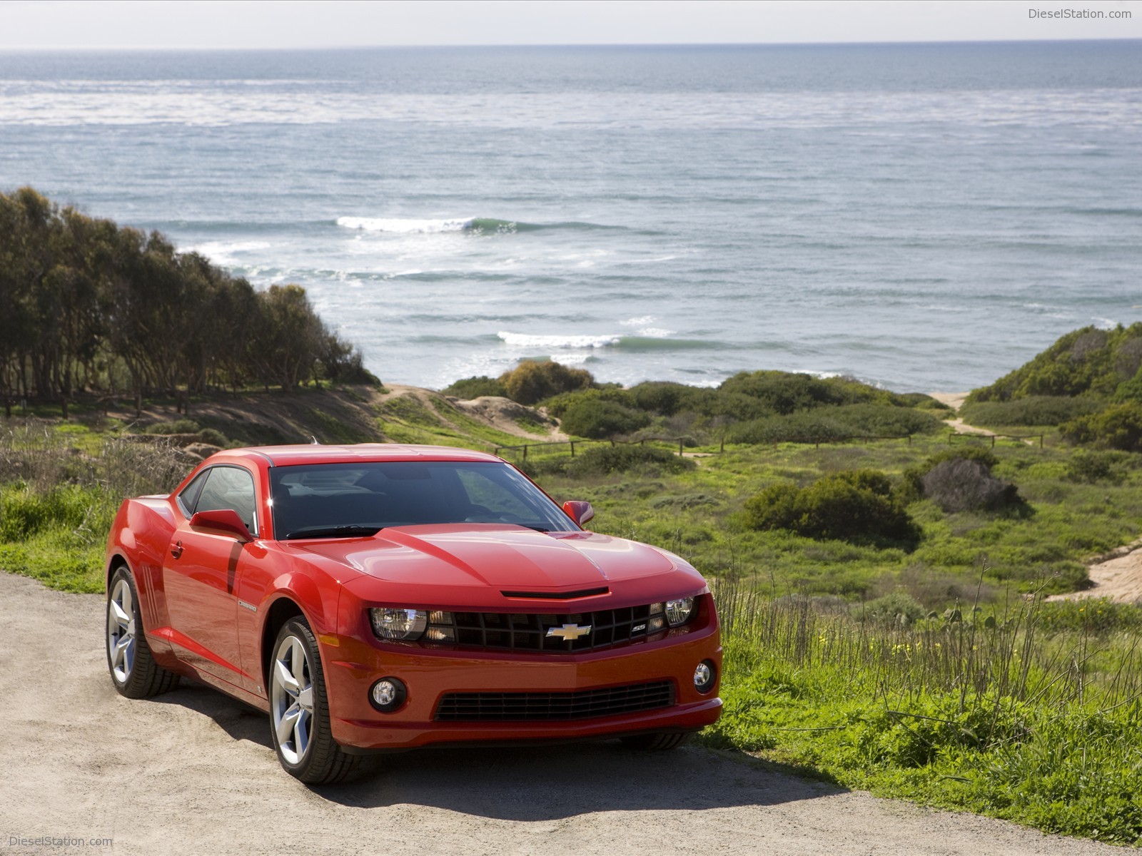 More Pics : 2010 Chevrolet Camaro SS