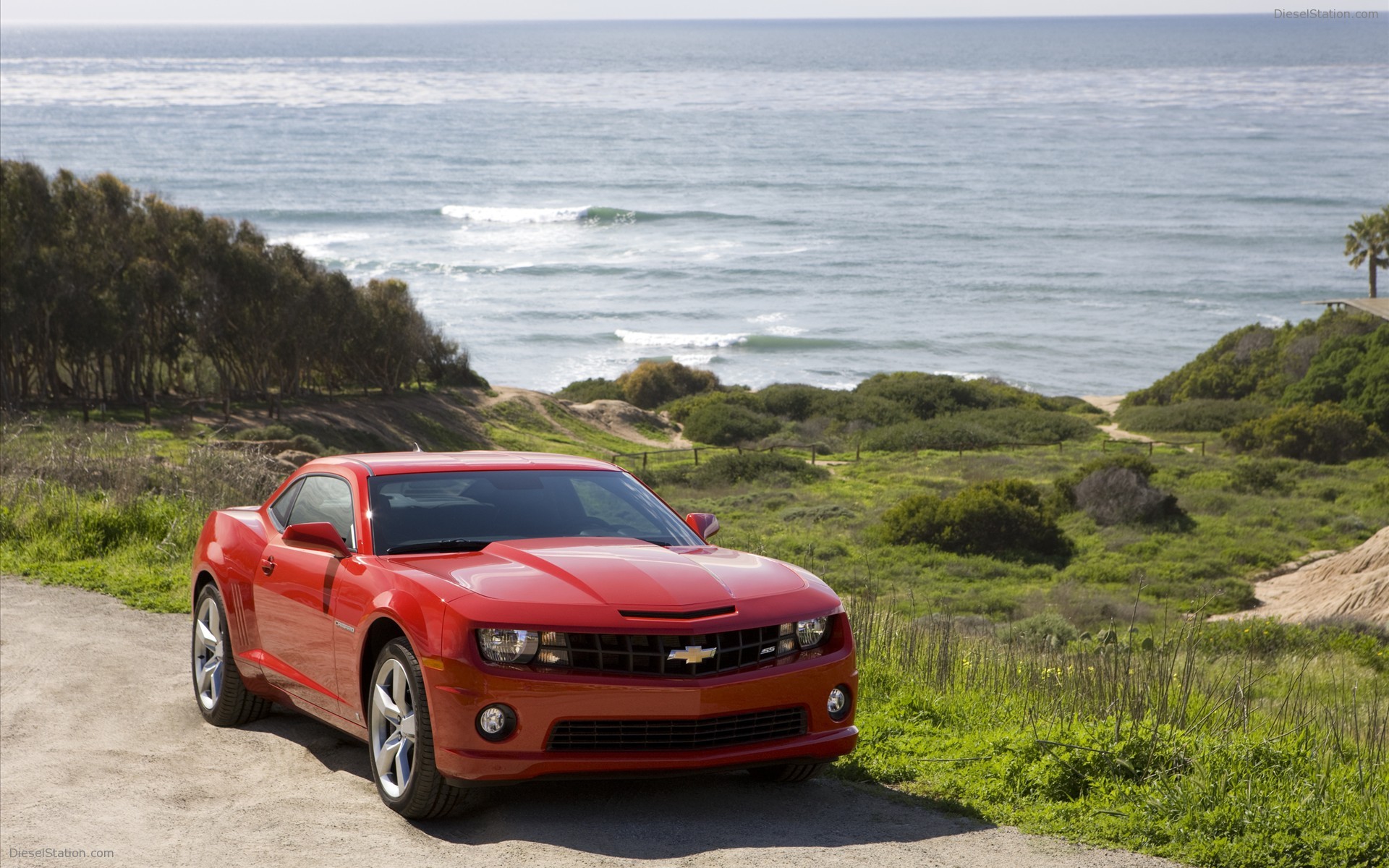 More Pics : 2010 Chevrolet Camaro SS