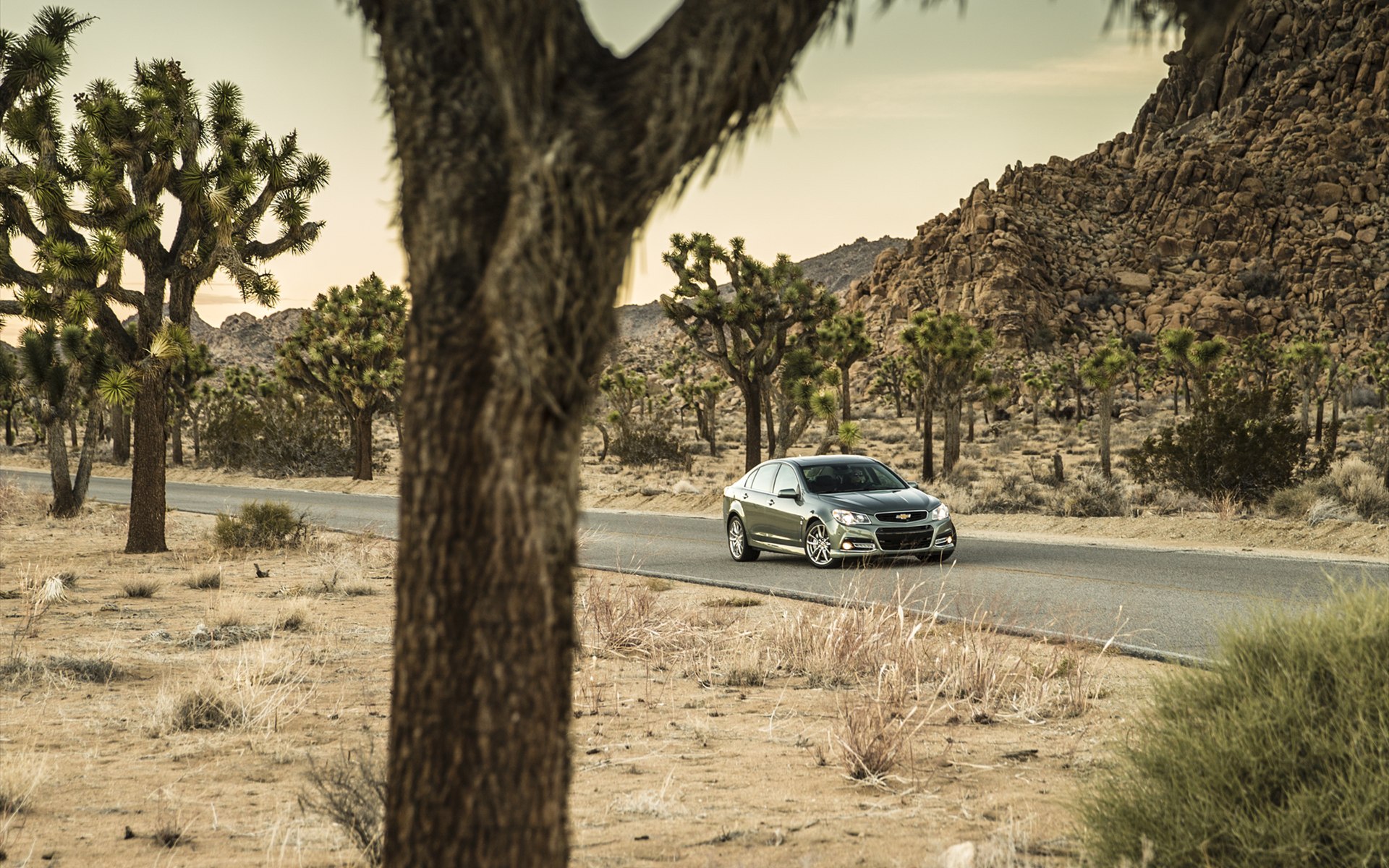 Chevrolet SS 2014