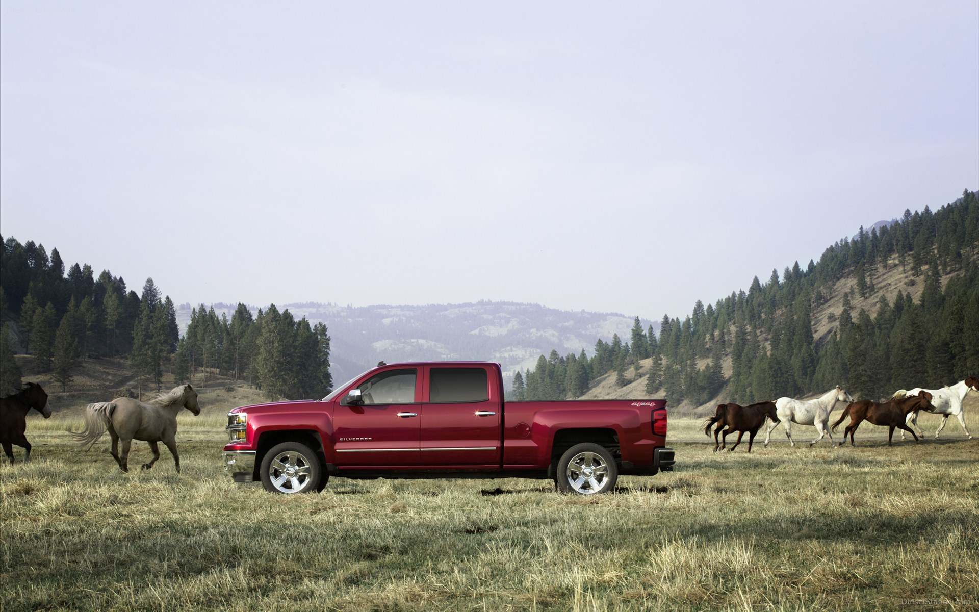 Chevrolet Silverado 2014