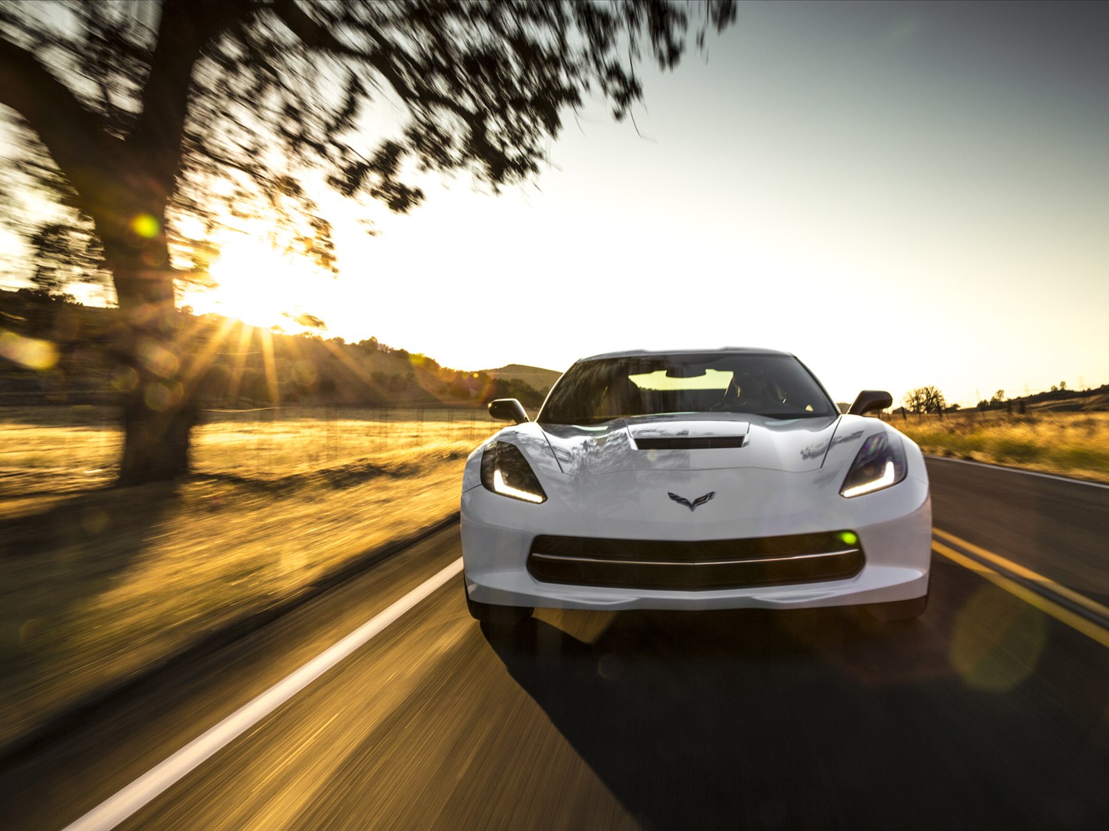 Chevrolet Corvette C7 Stingray 2014