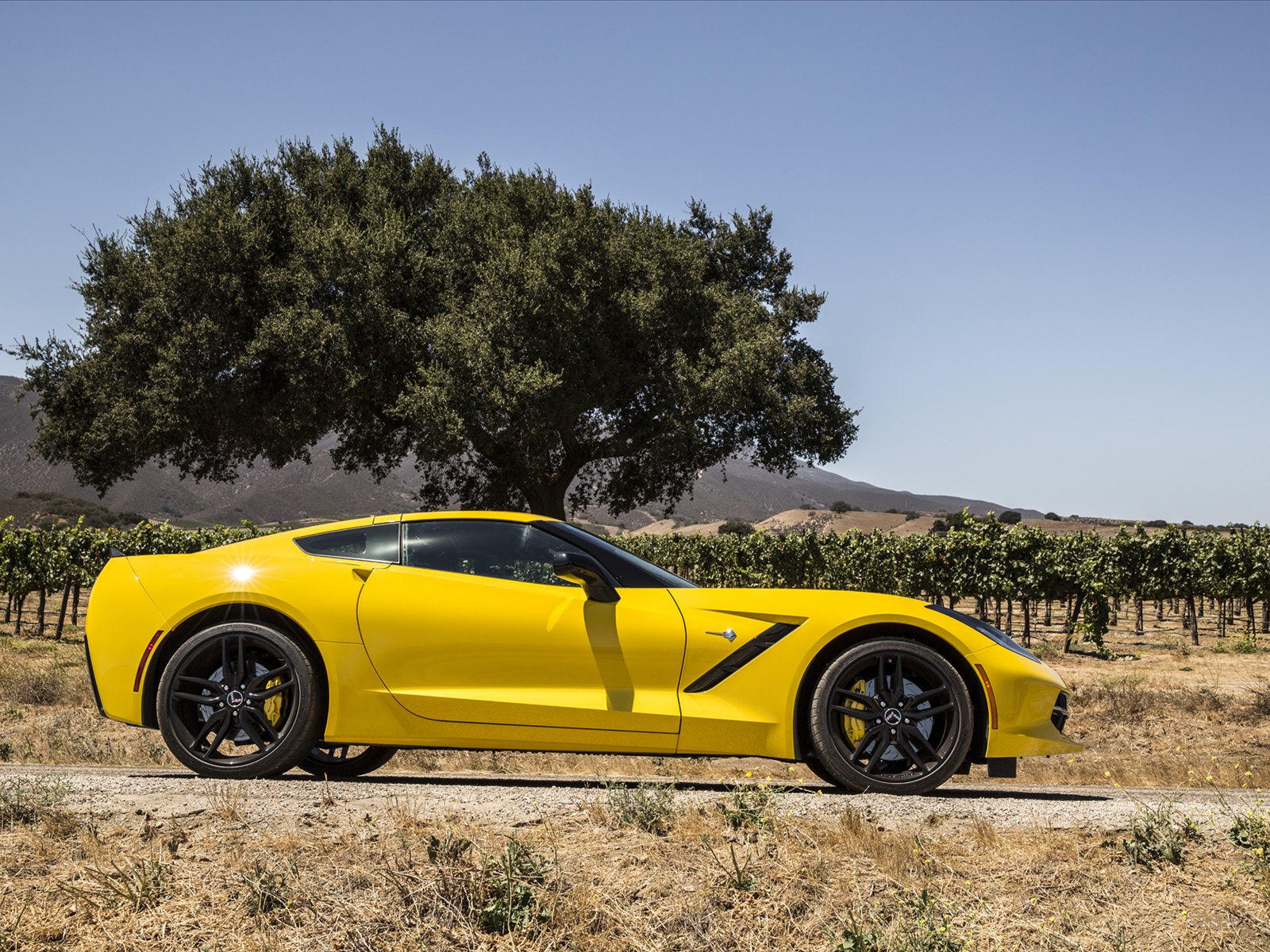 Chevrolet Corvette C7 Stingray 2014