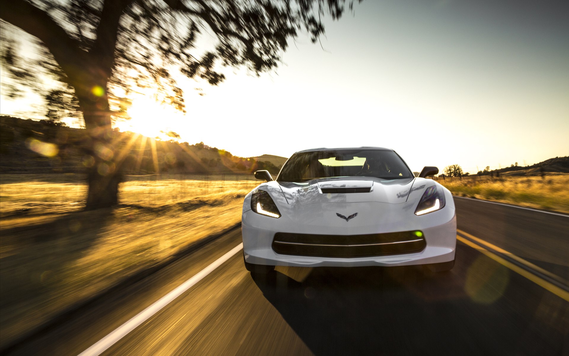 Chevrolet Corvette C7 Stingray 2014