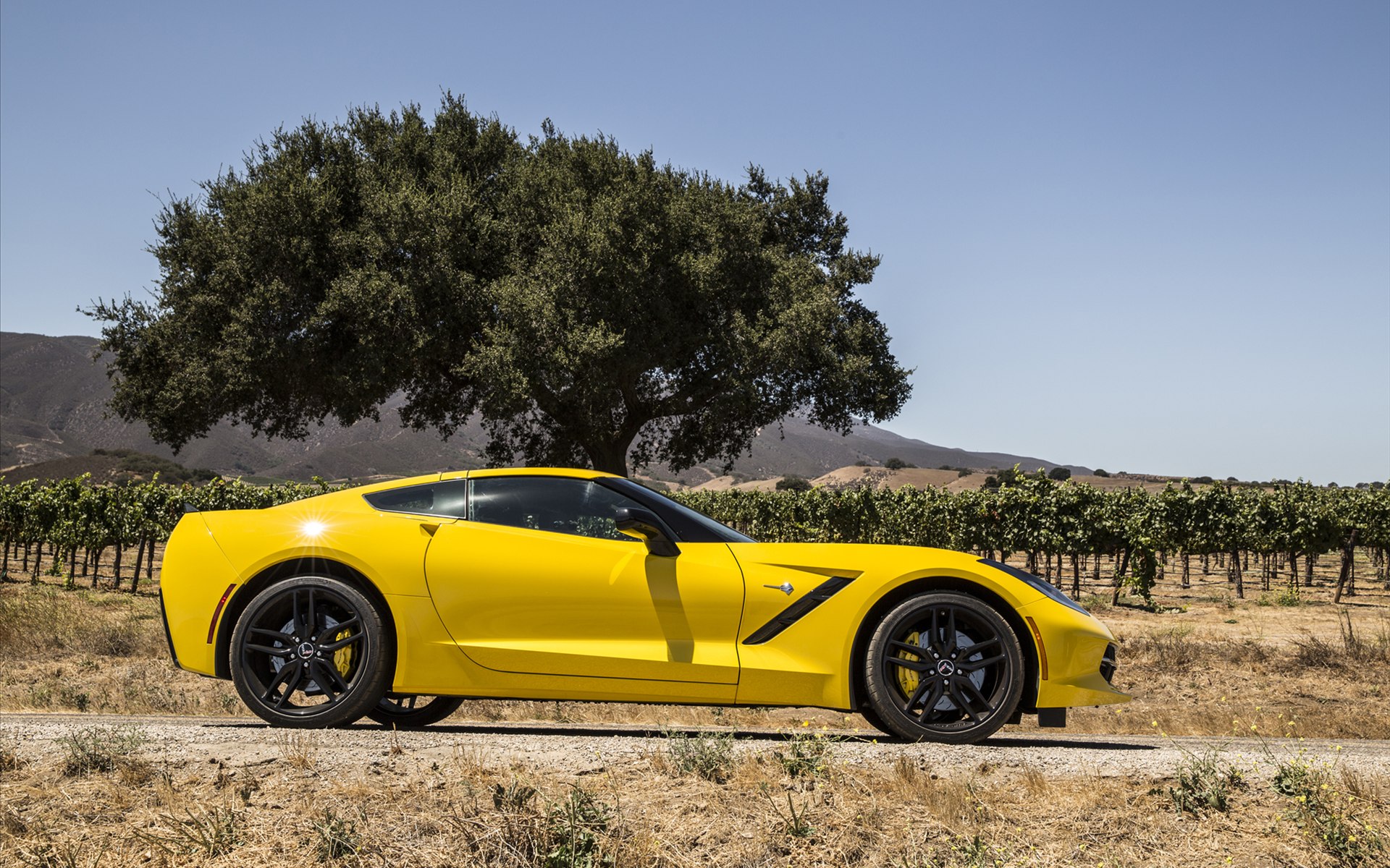 Chevrolet Corvette C7 Stingray 2014