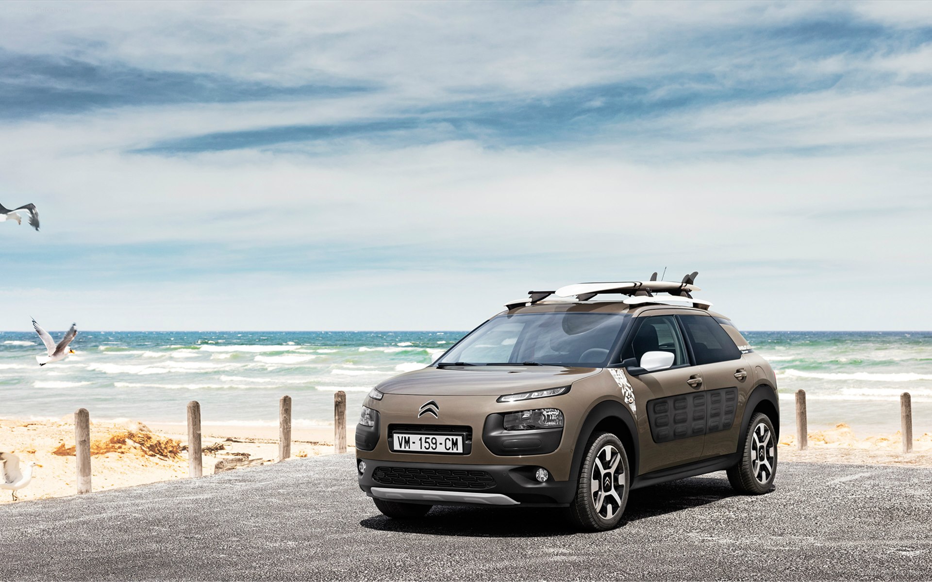 Citroen C4 Cactus Rip Curl 2017