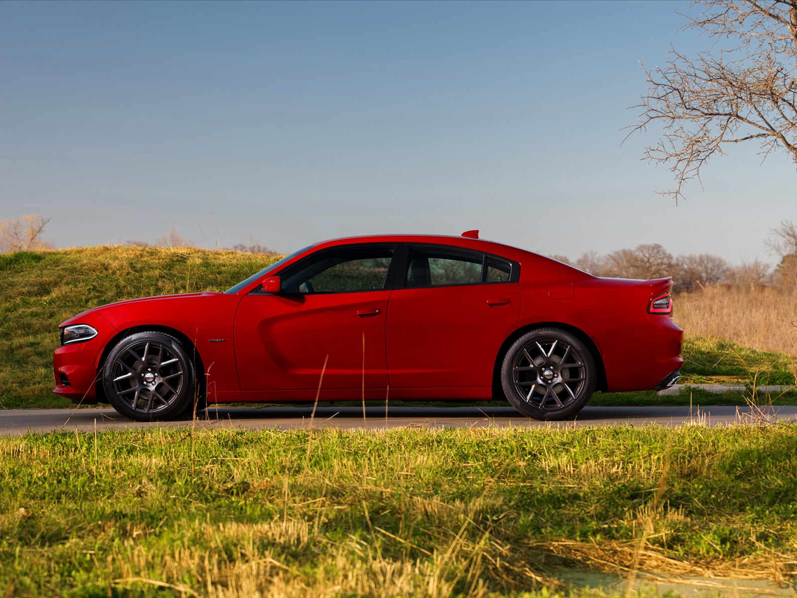 Dodge Charger 2015