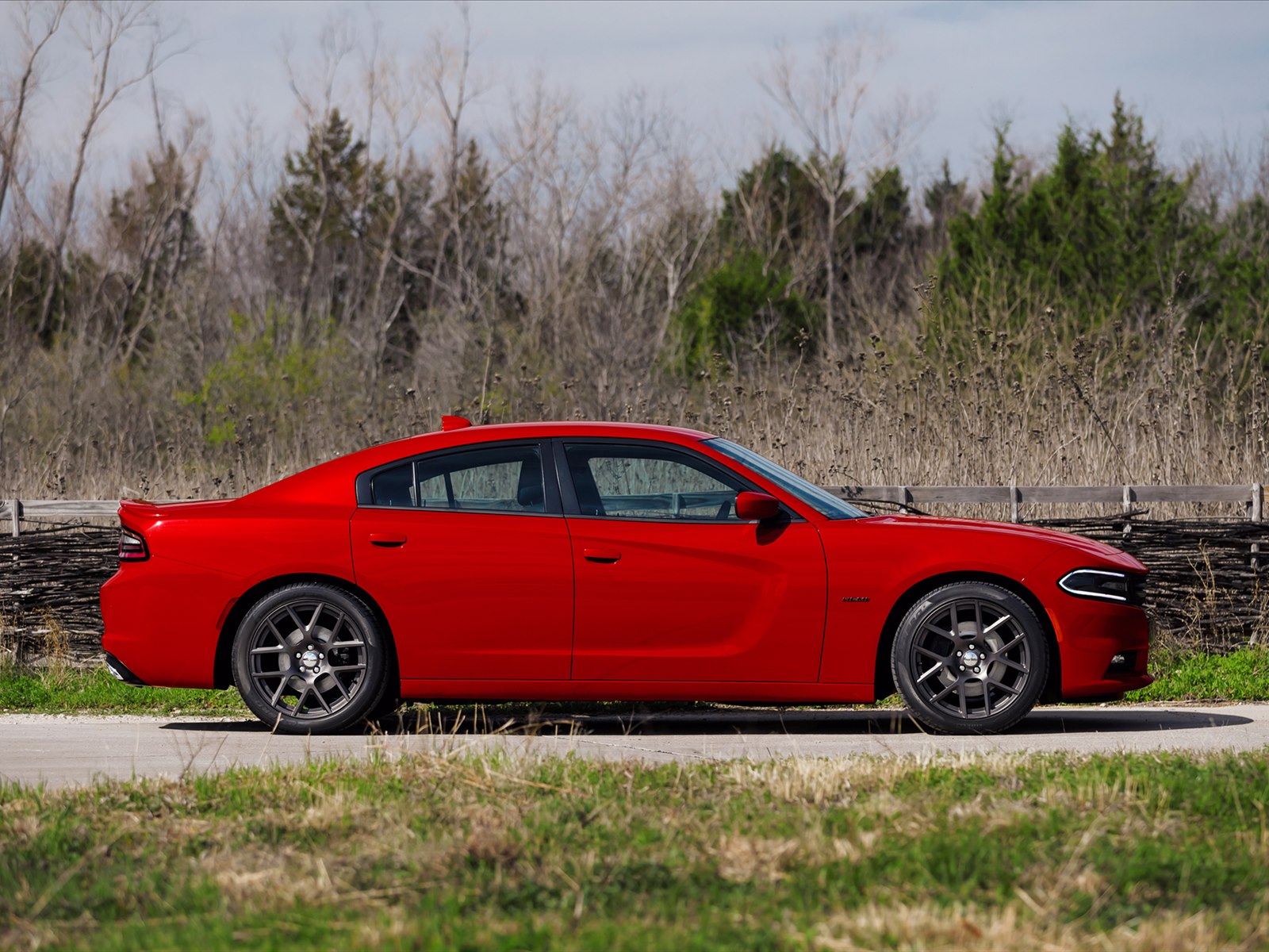 Dodge Charger 2015