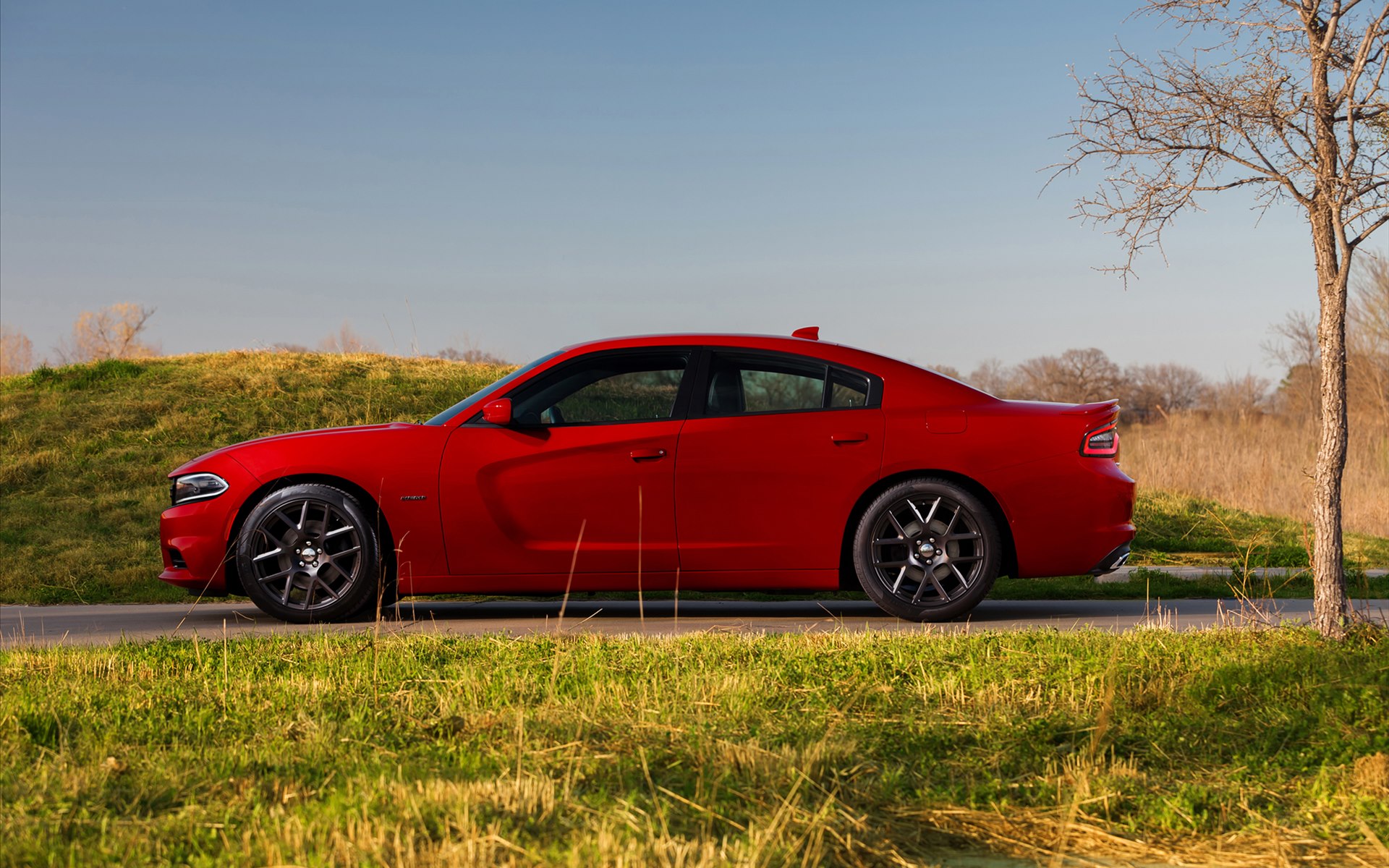 Dodge Charger 2015