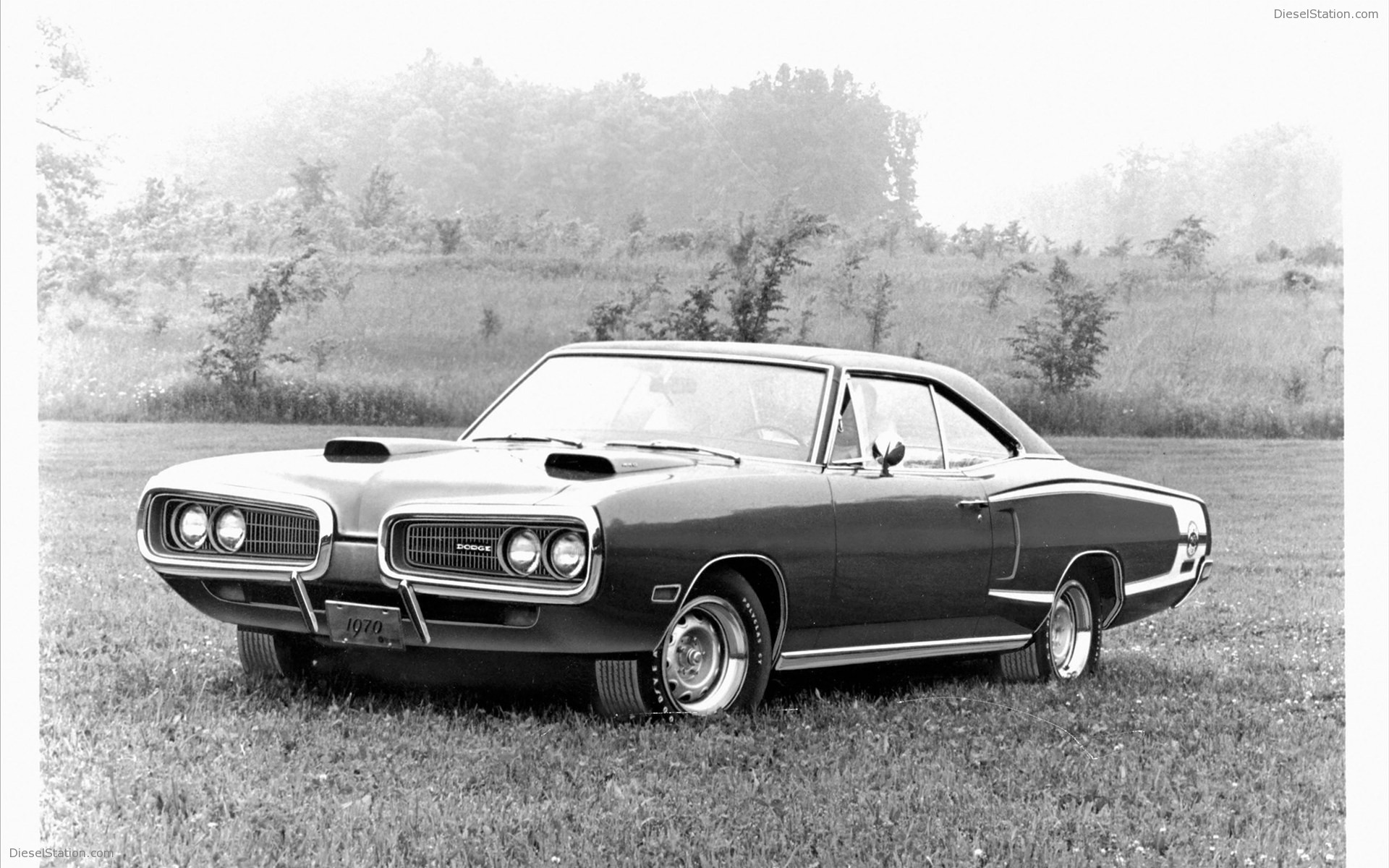 Dodge Coronet Super Bee 1969
