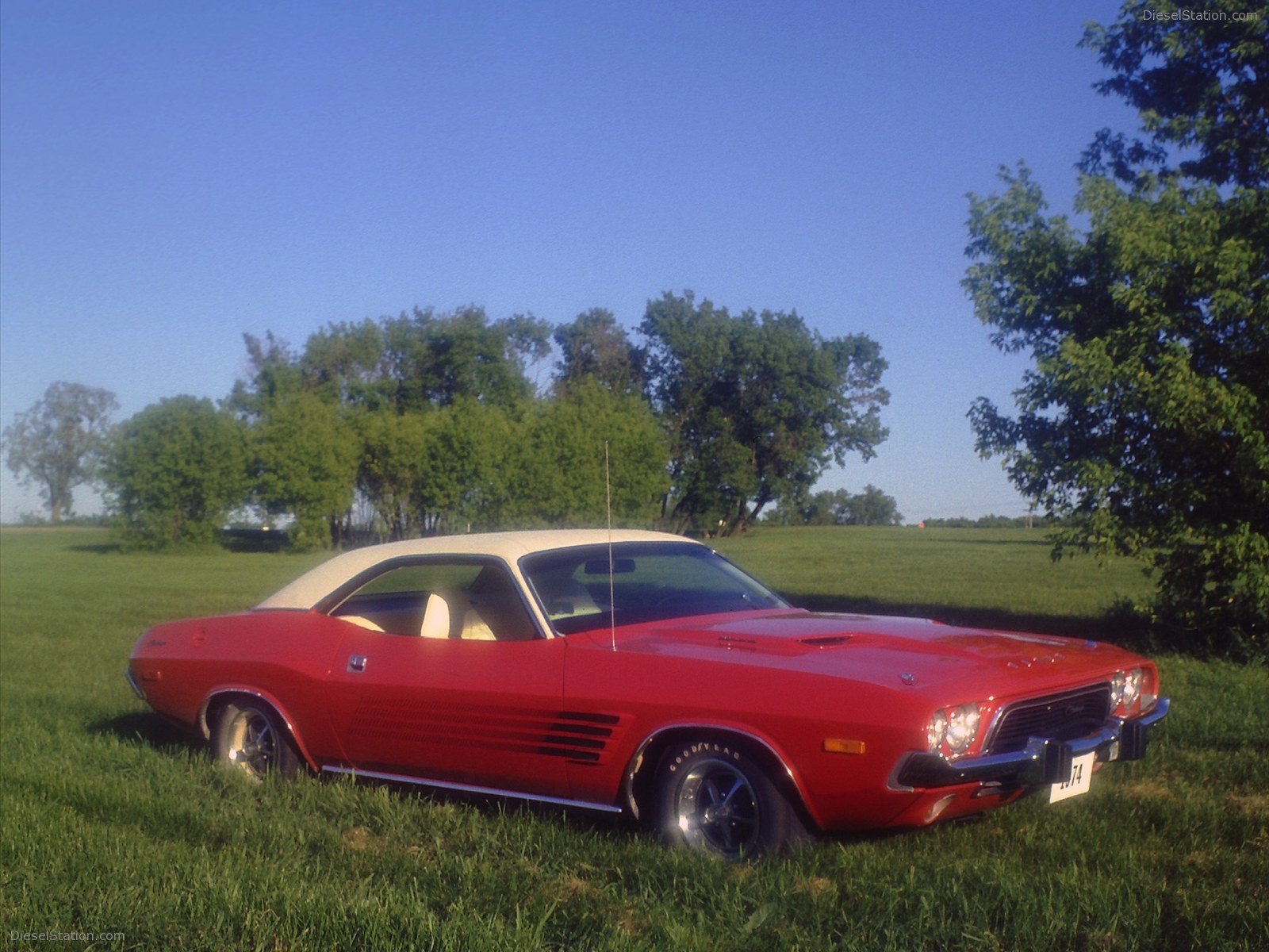 Dodge Challenger: Forty Years of a Dodge Muscle-car Legend