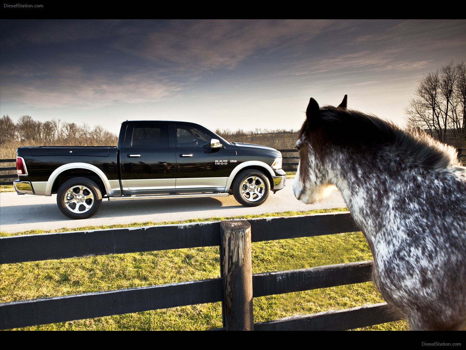 Dodge Ram 1500 2013