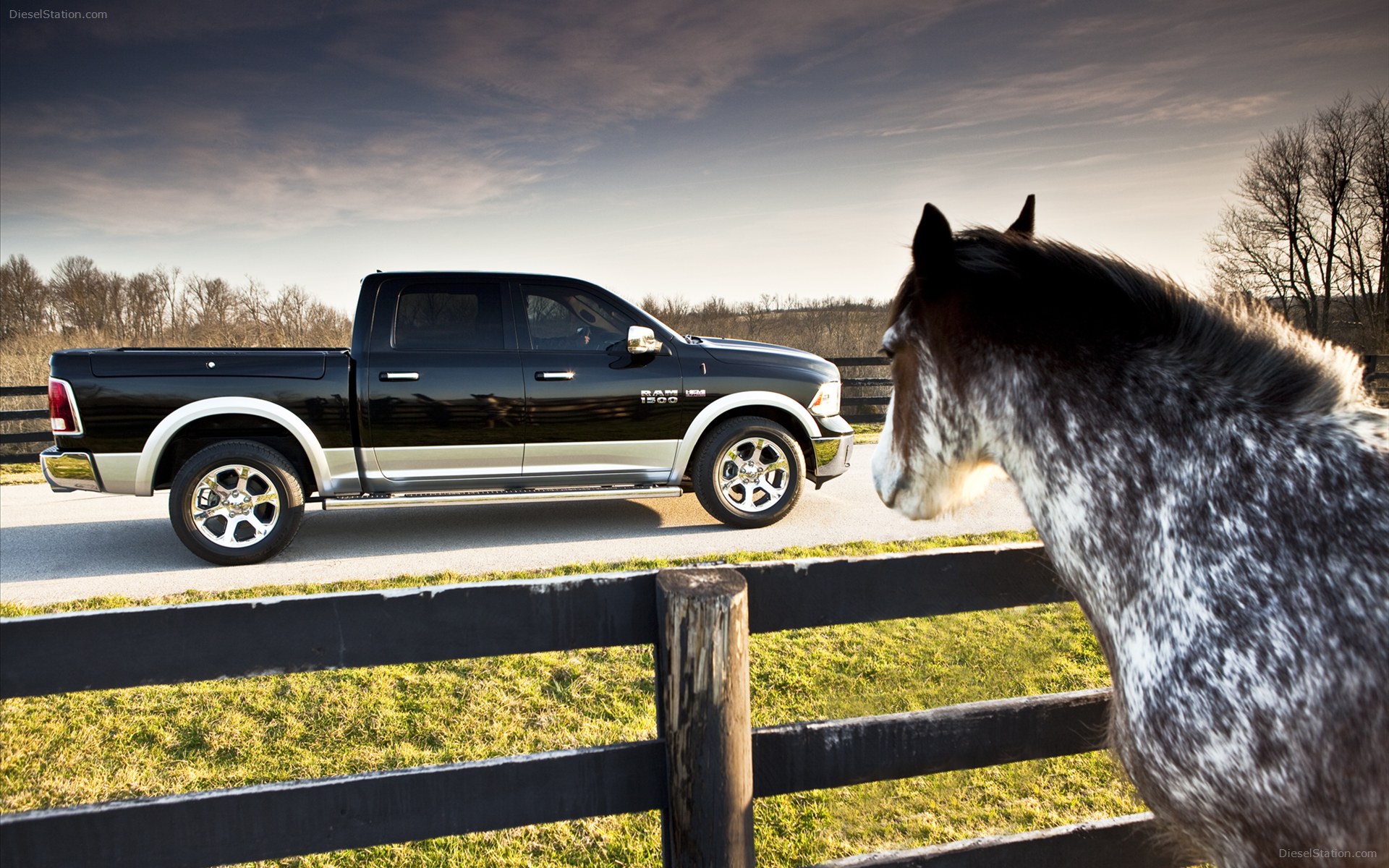 Dodge Ram 1500 2013