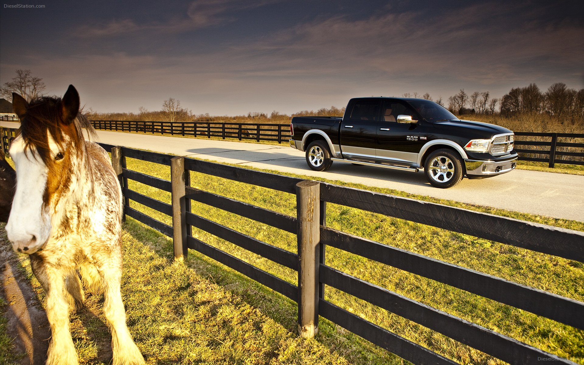 Dodge Ram 1500 2013