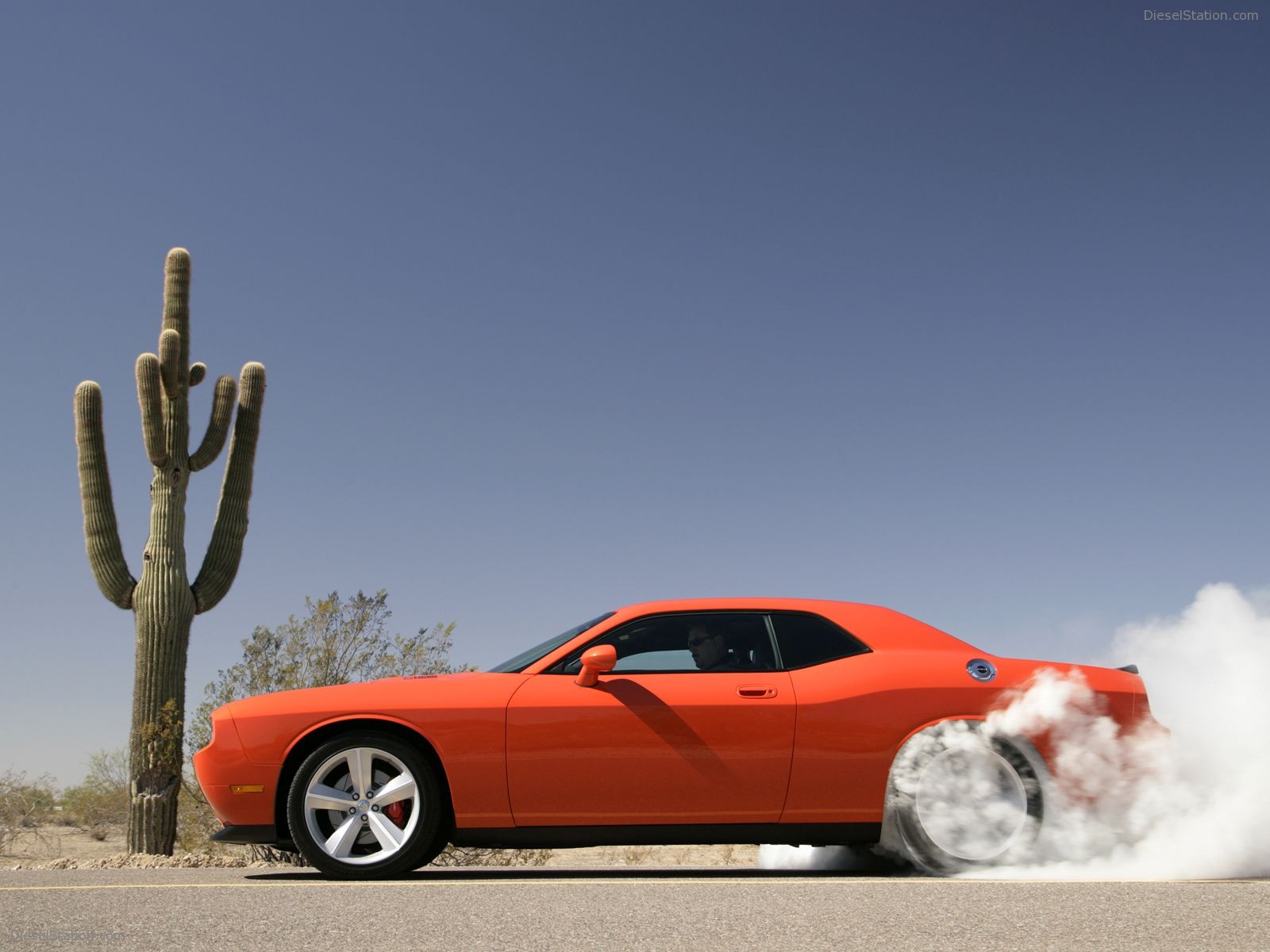 Dodge Challenger SRT8 (2008) More Pictures Dodge Challenger SRT8 (2008) More Pictures