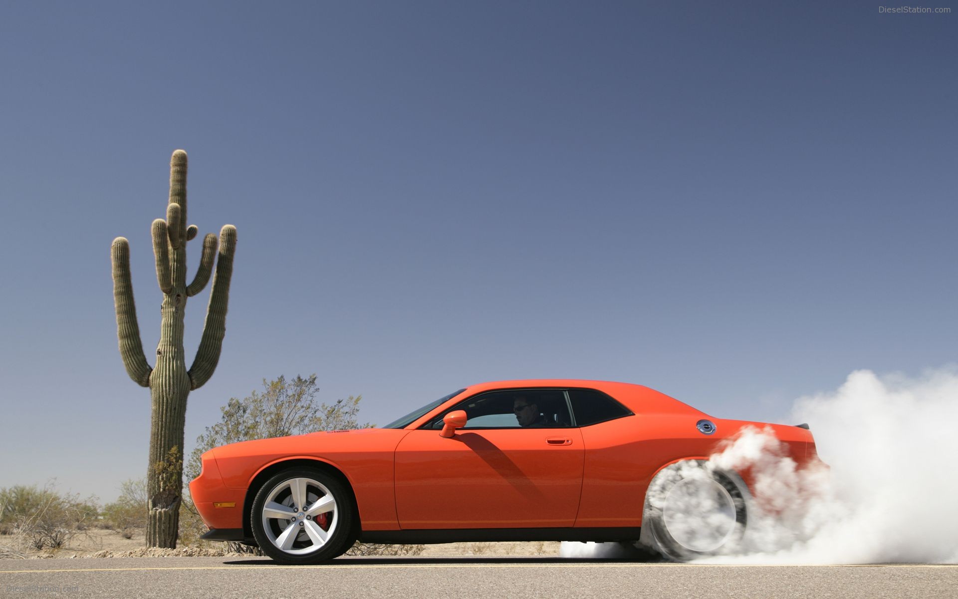 Dodge Challenger SRT8 (2008) More Pictures Dodge Challenger SRT8 (2008) More Pictures