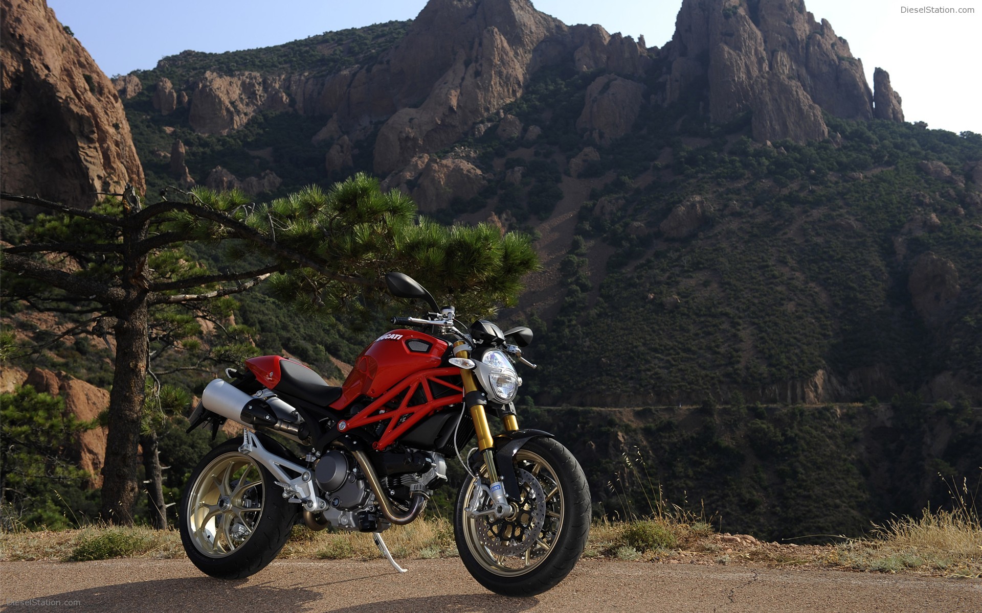 Ducati Monster 1100