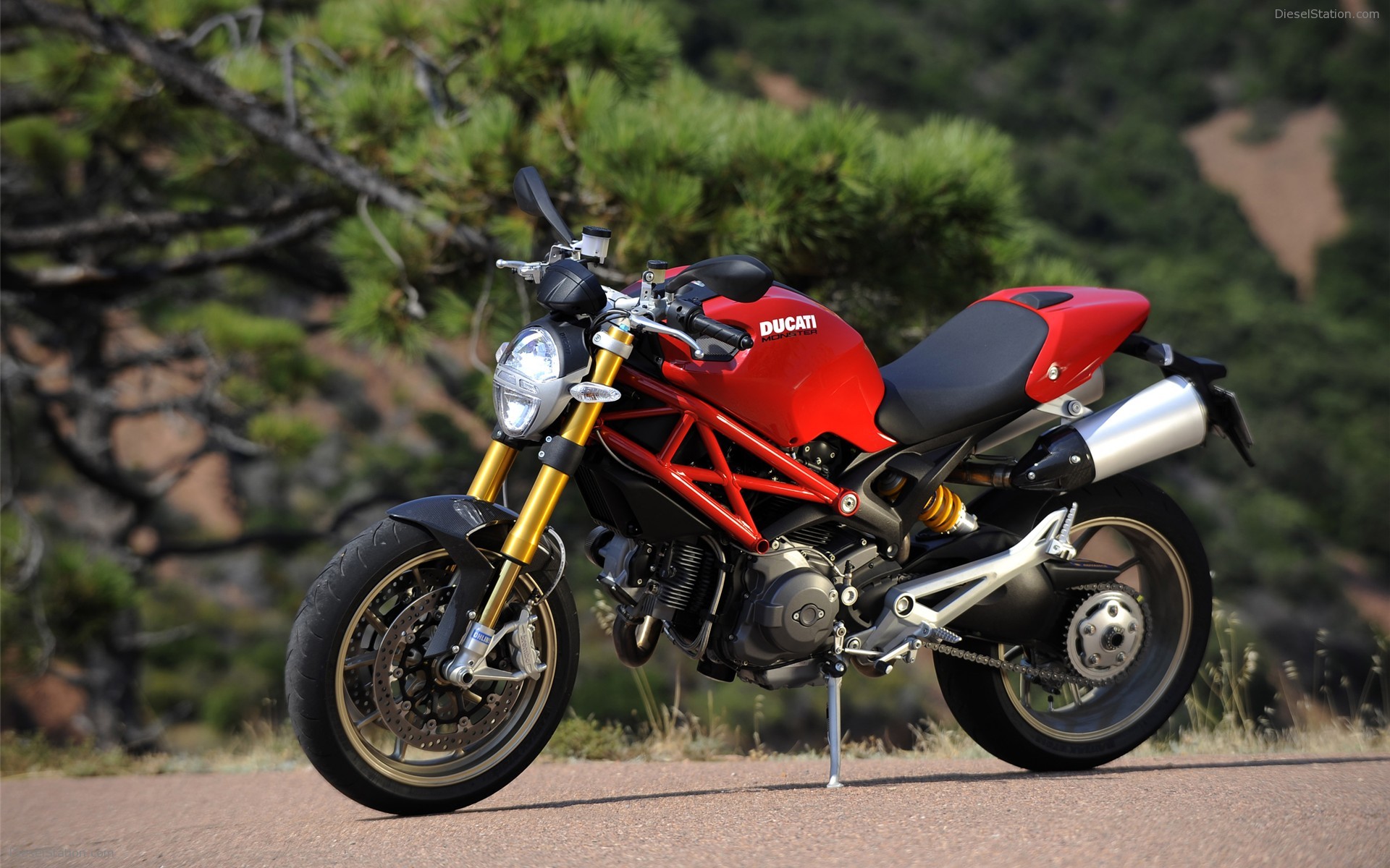 Ducati Monster 1100