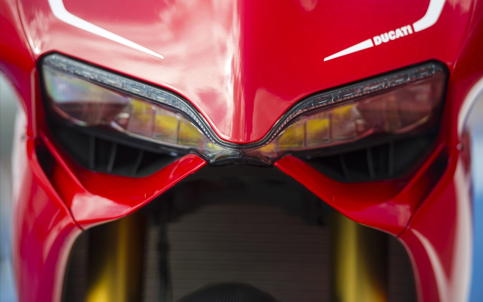Ducati Superbike 1199 Panigale R 2013