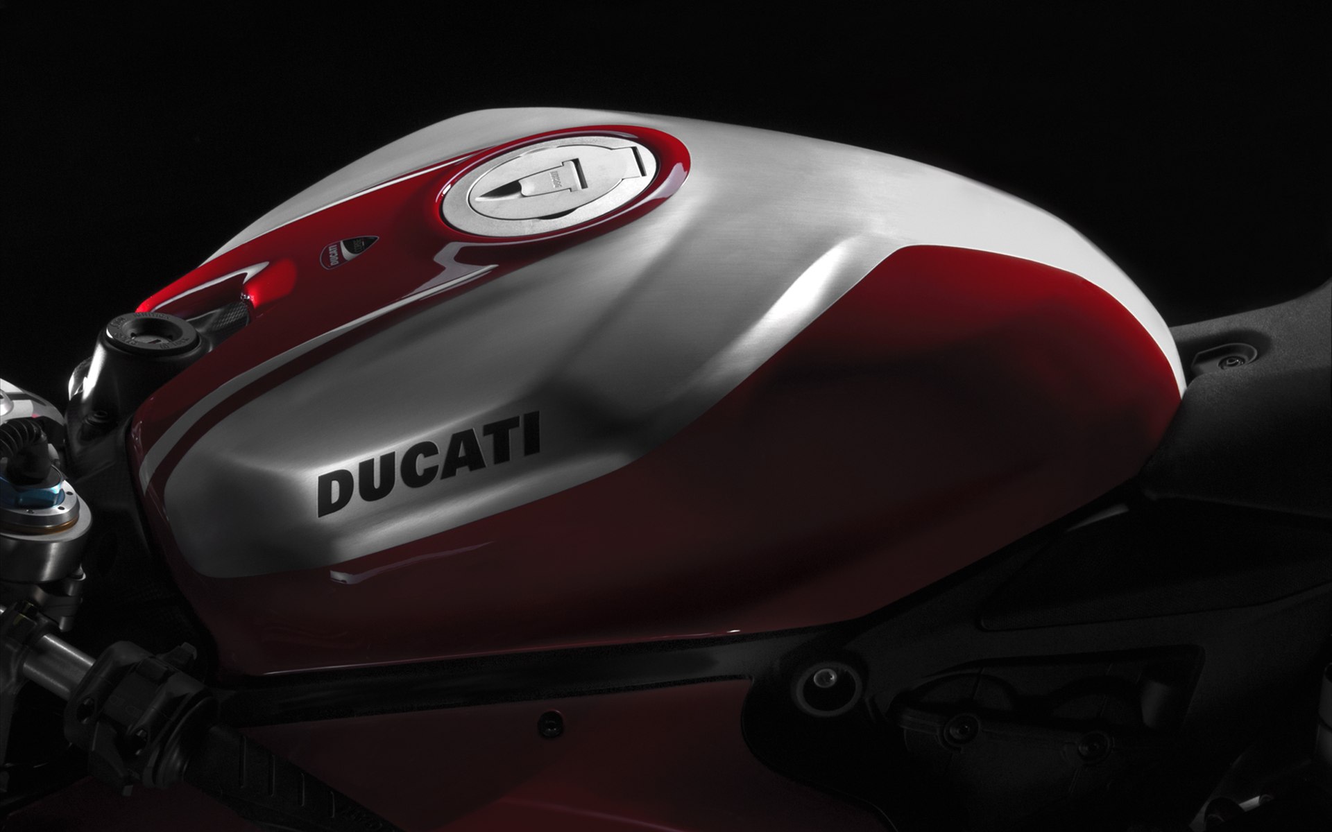 Ducati Superbike 1199 Panigale R 2013