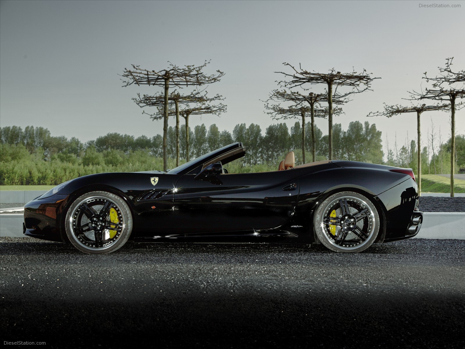 Edo Competition Ferrari California Spider