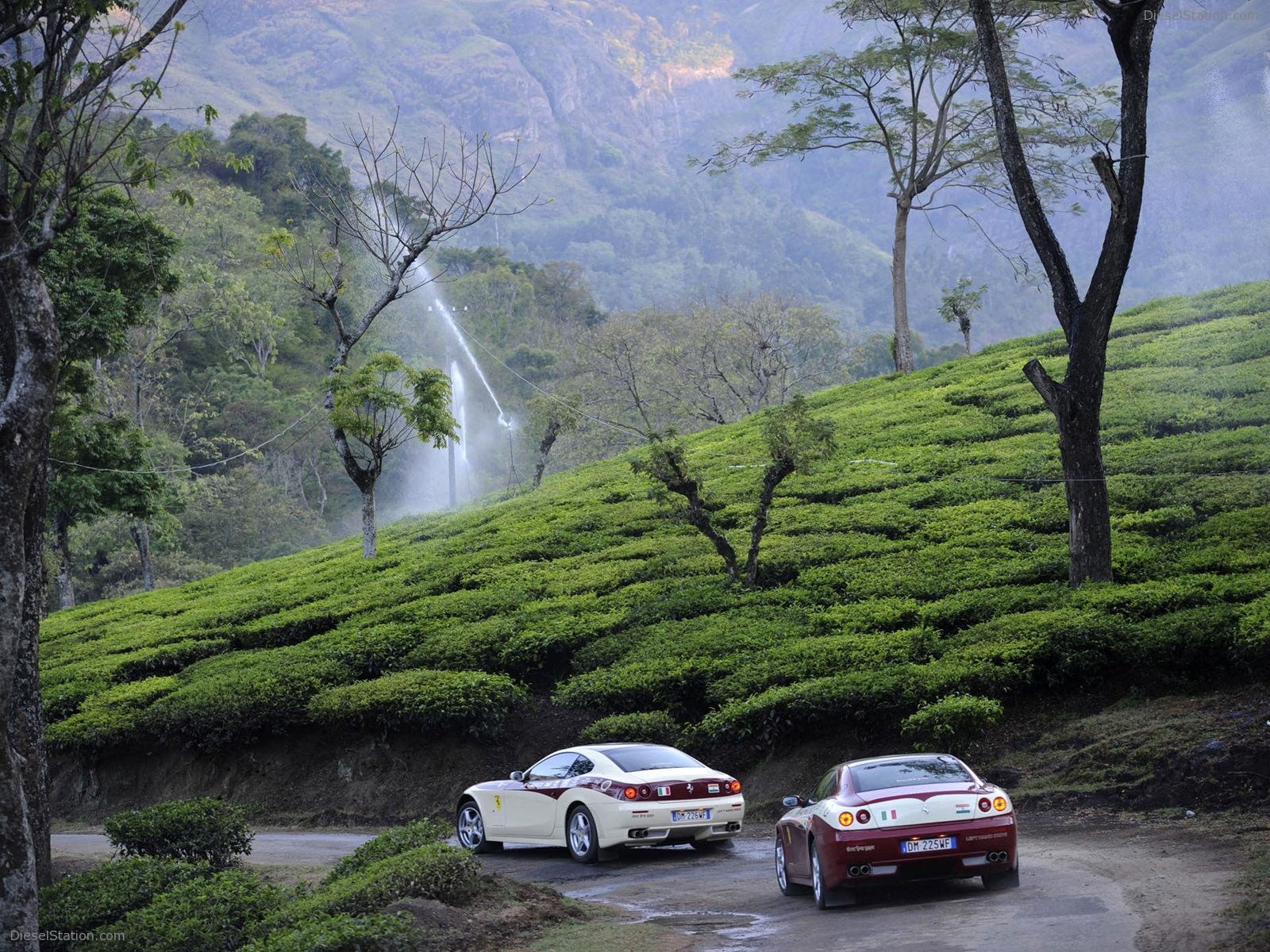 Ferrari Magic India Discovery Pictures