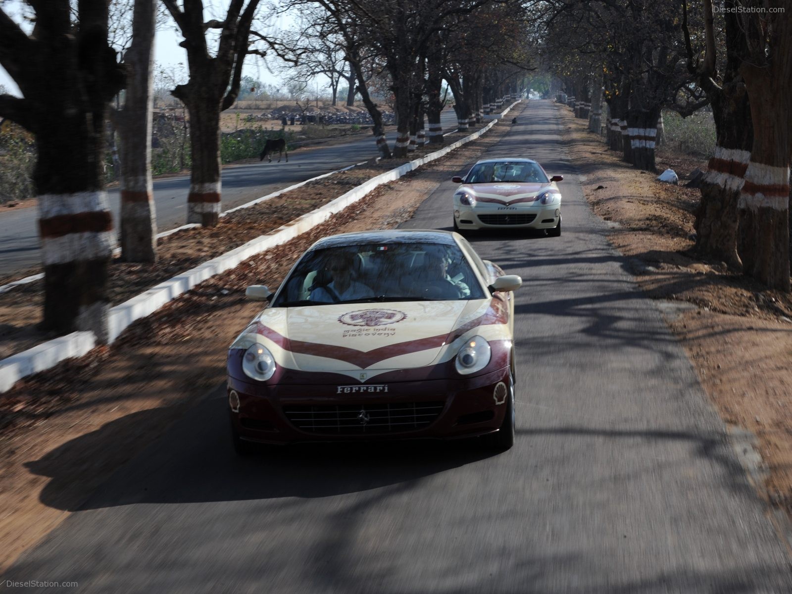 Ferrari Magic India Discovery Pictures