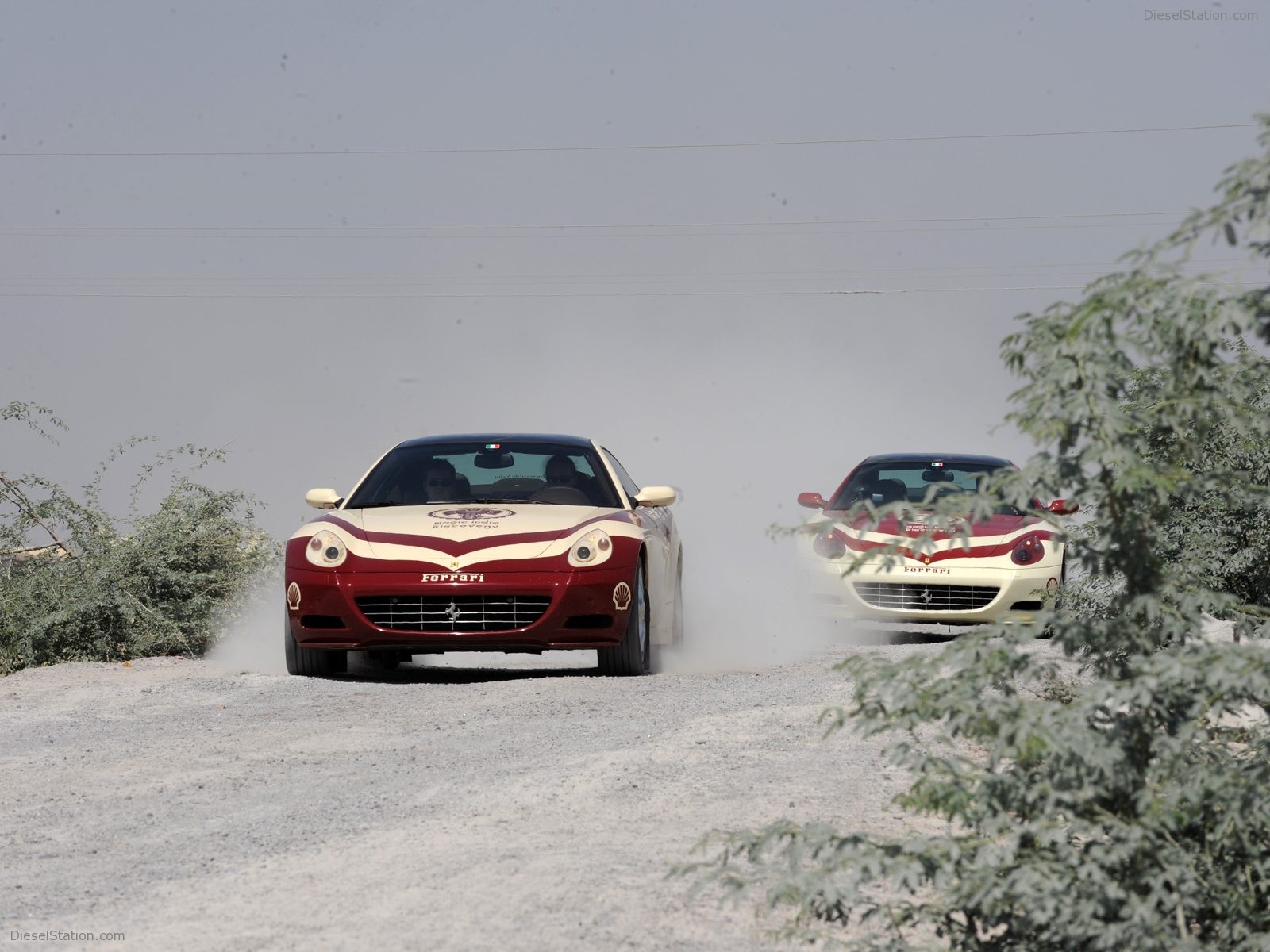 Ferrari Magic India Discovery Pictures