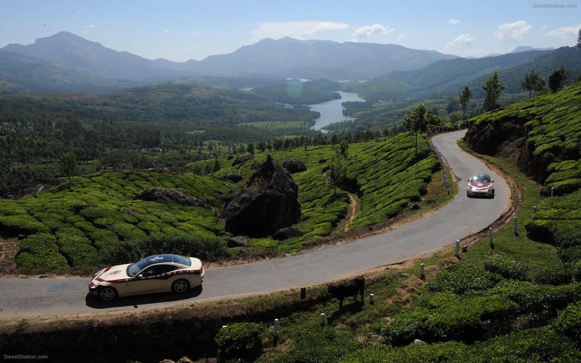 Ferrari Magic India Discovery Pictures