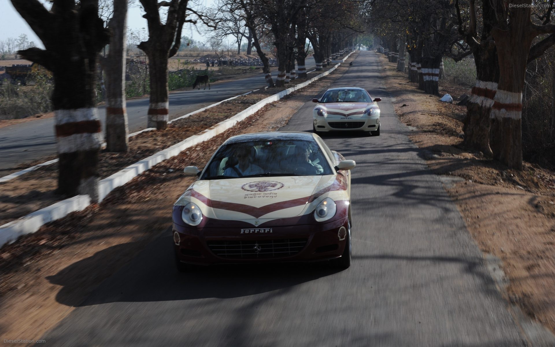Ferrari Magic India Discovery Pictures