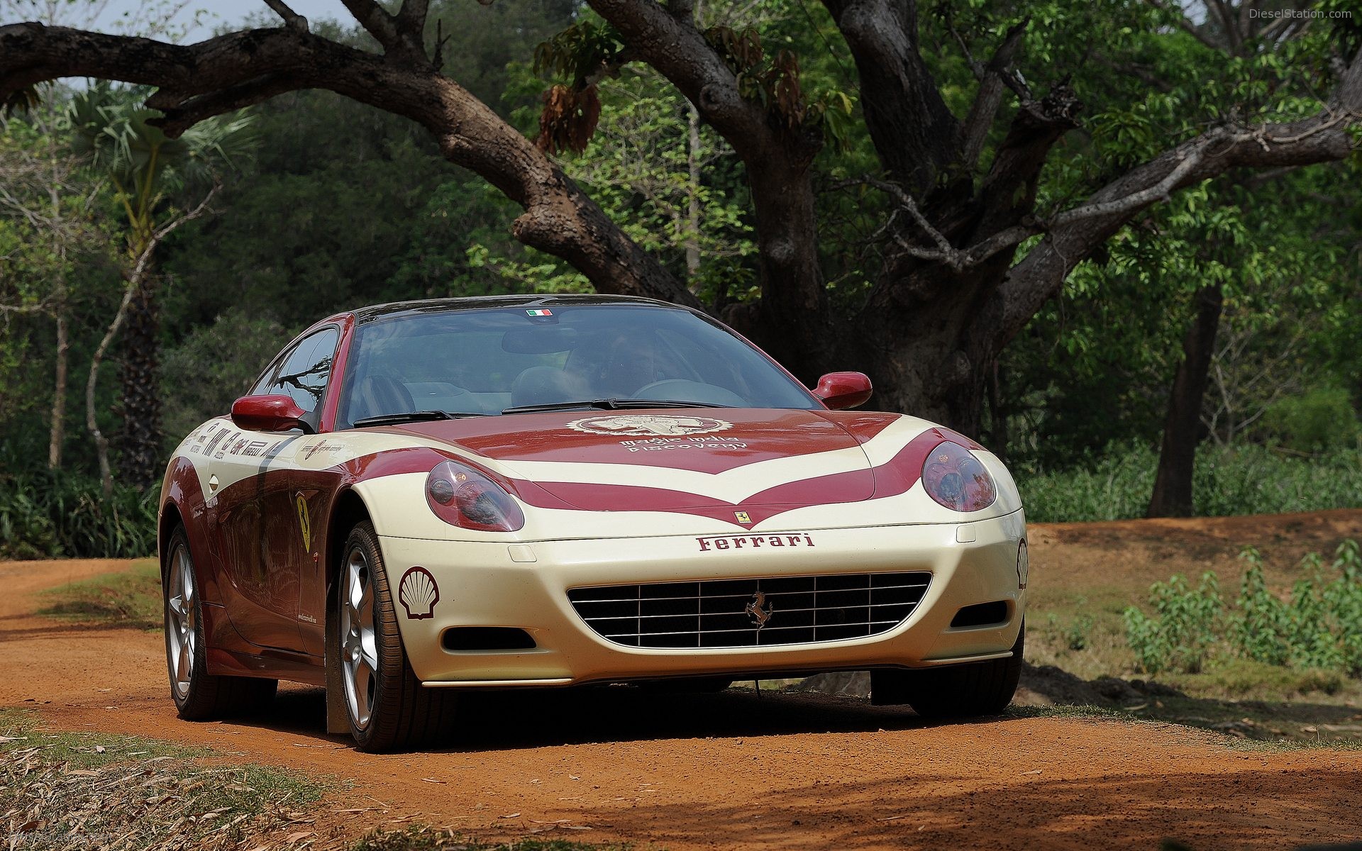 Ferrari Magic India Discovery Pictures