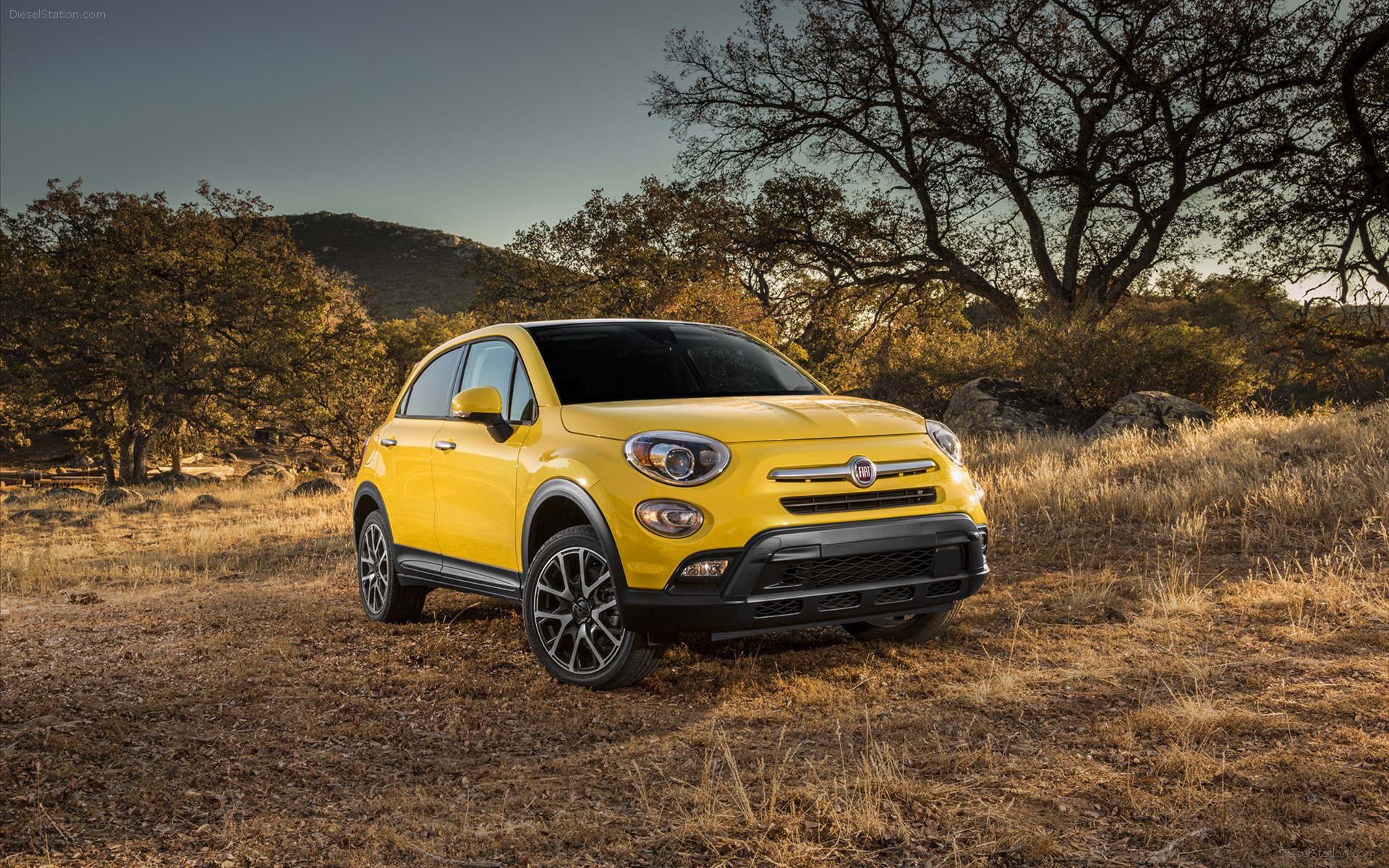 Fiat 500X Trekking Plus 2016