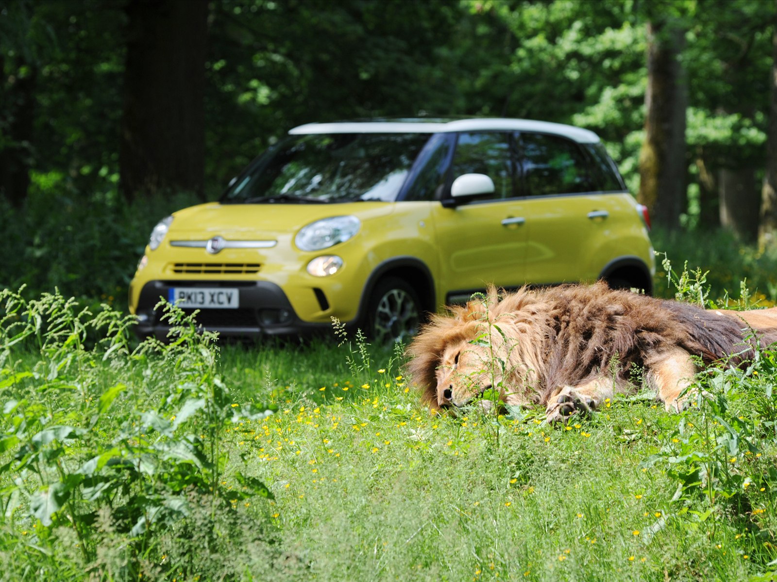 Fiat 500L Trekking 2014