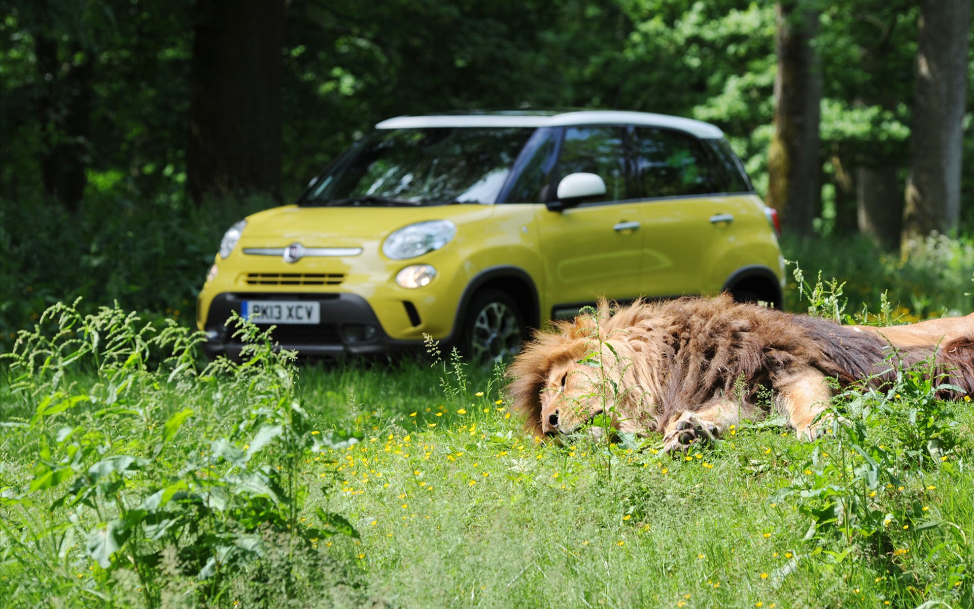Fiat 500L Trekking 2014