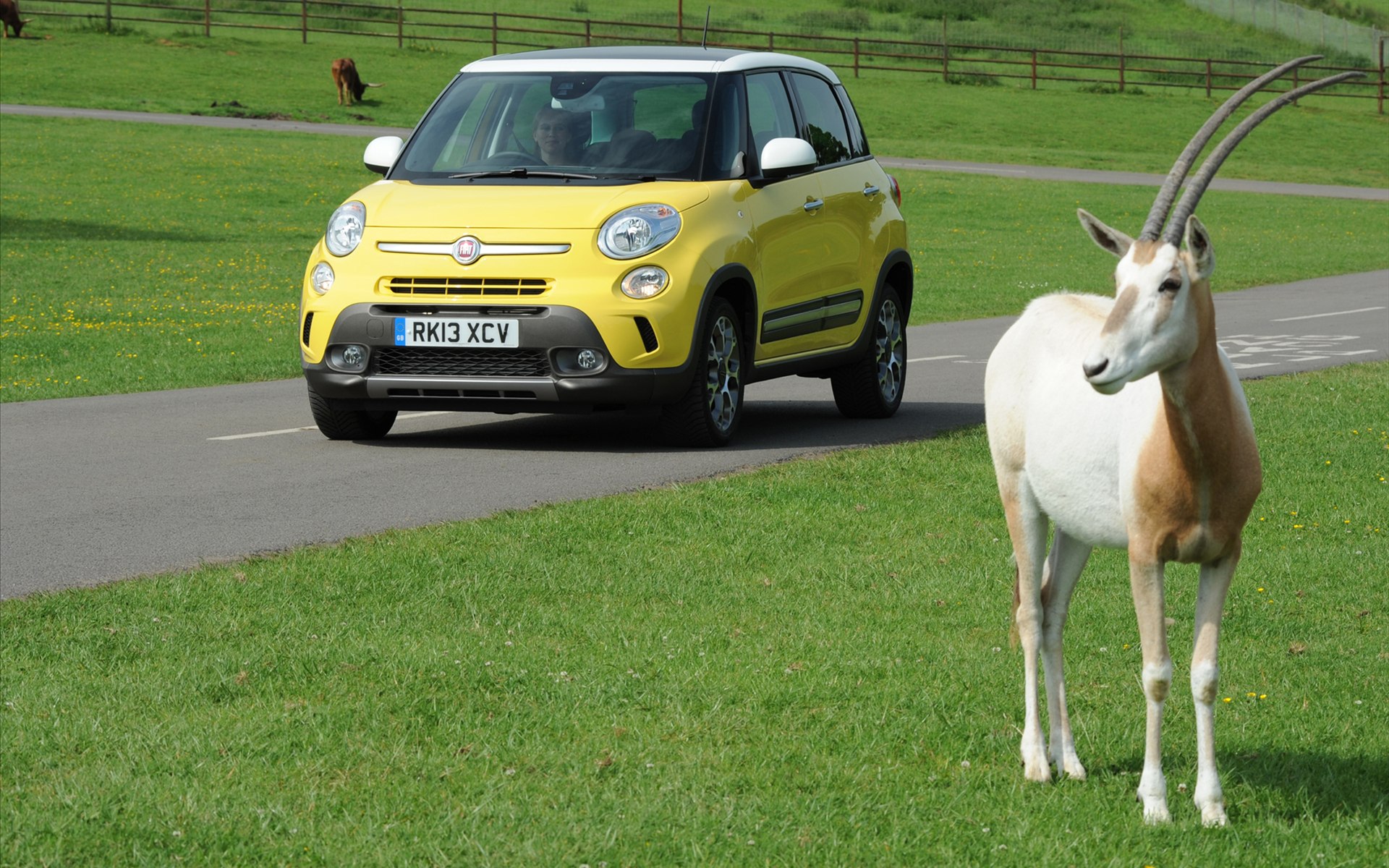 Fiat 500L Trekking 2014