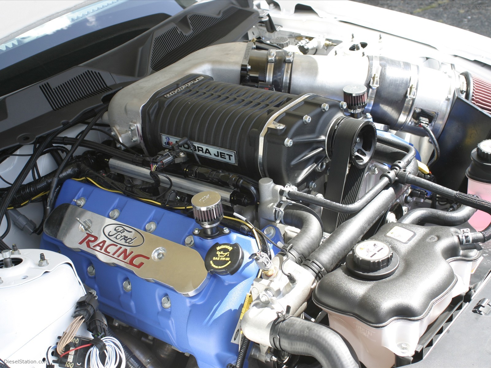 2010 Ford Mustang Cobra Jet