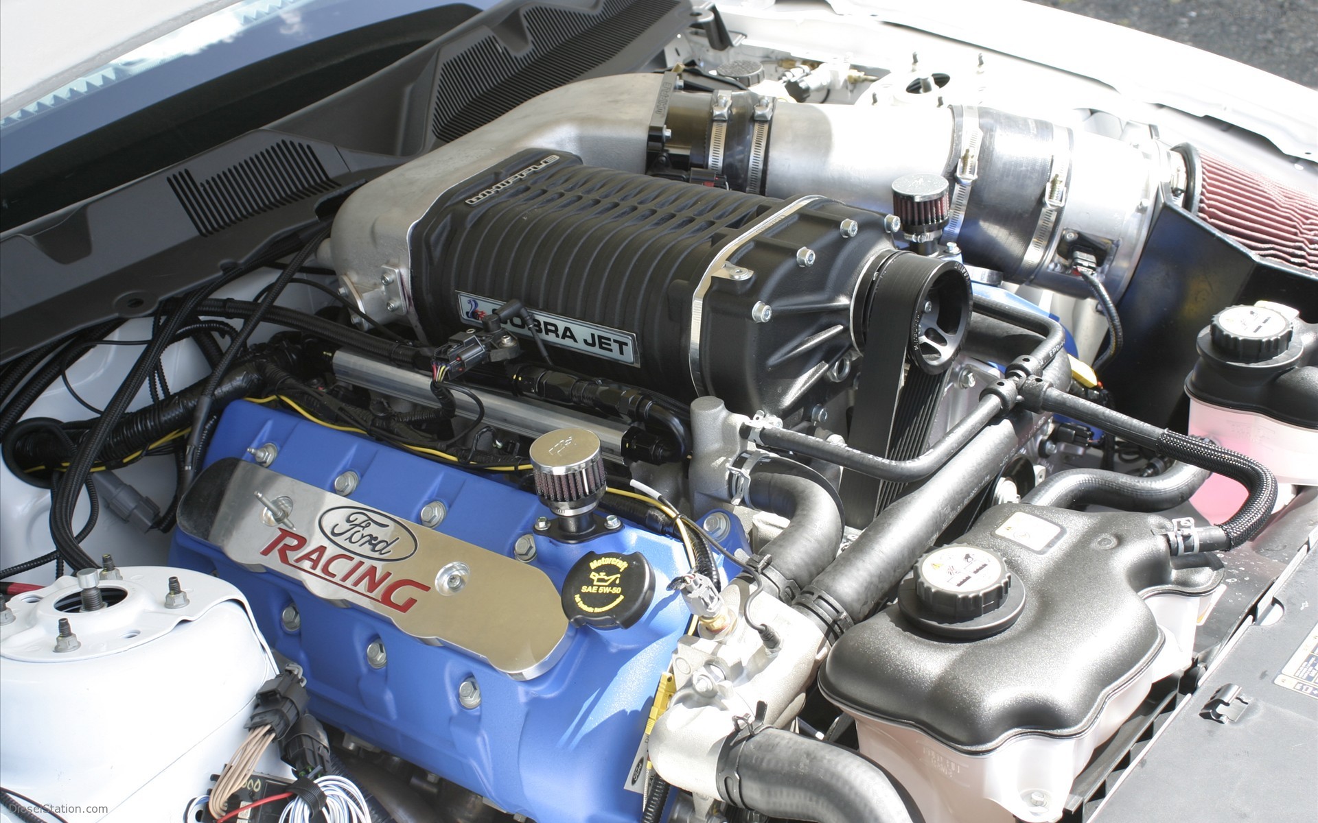 2010 Ford Mustang Cobra Jet