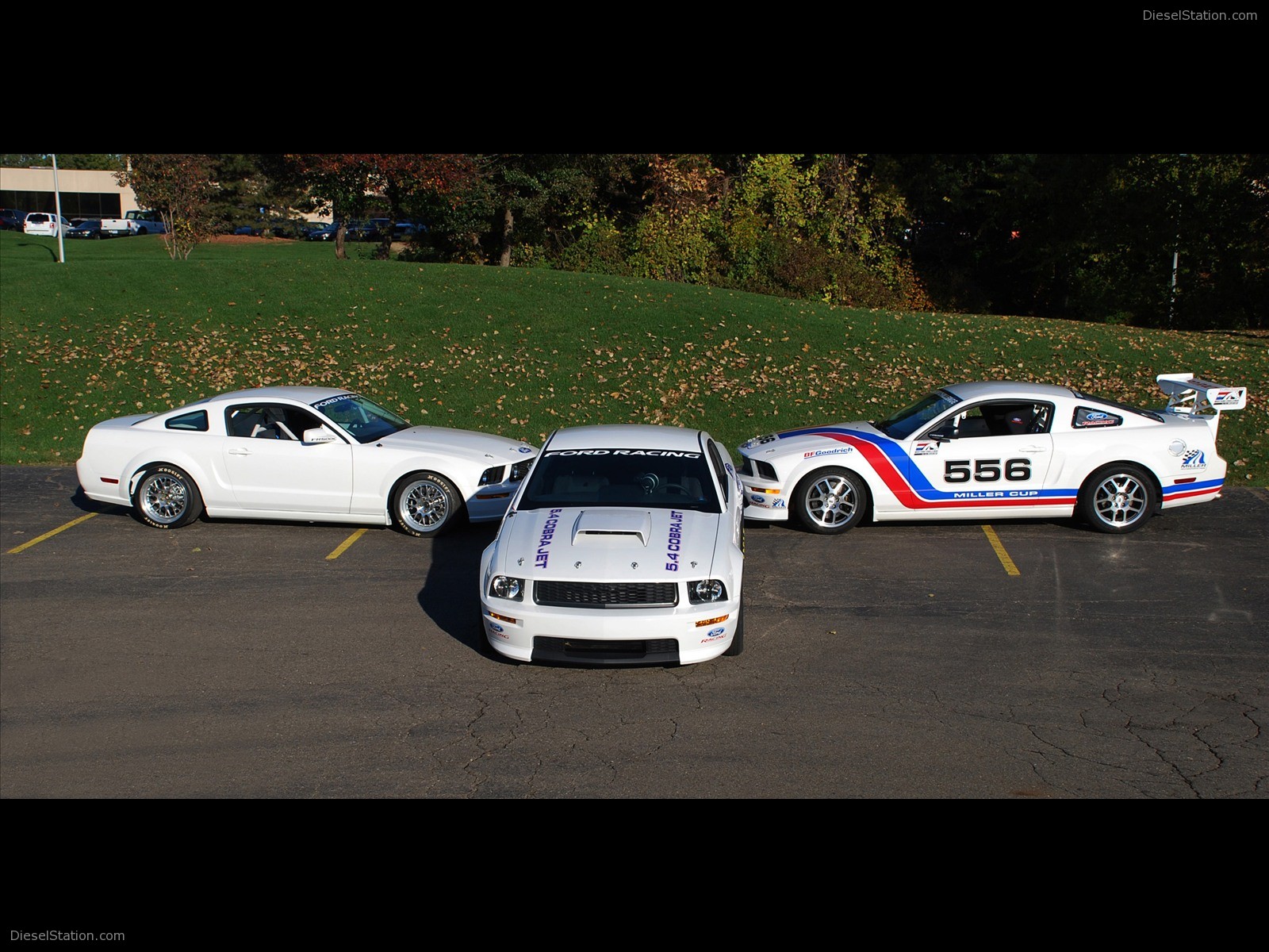 2008 Ford Cobra Jet Mustang