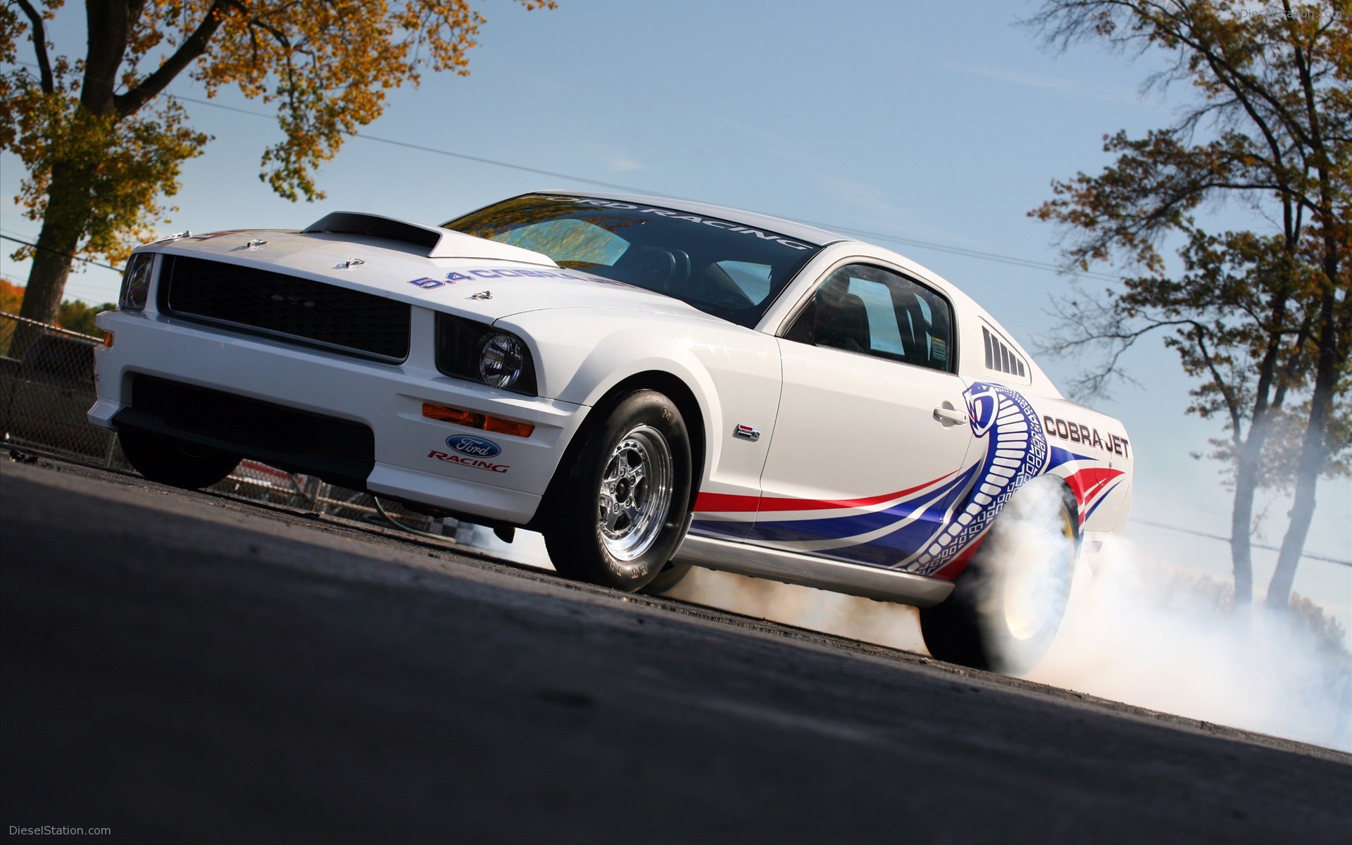 2008 Ford Cobra Jet Mustang