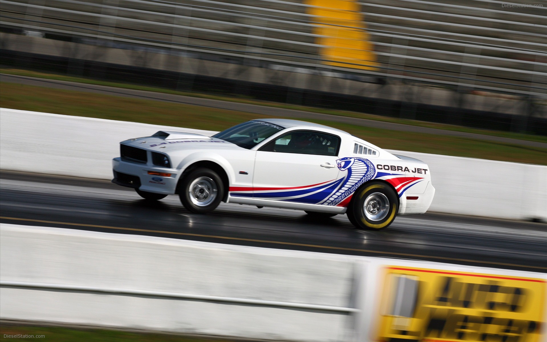 2008 Ford cobra jet mustang