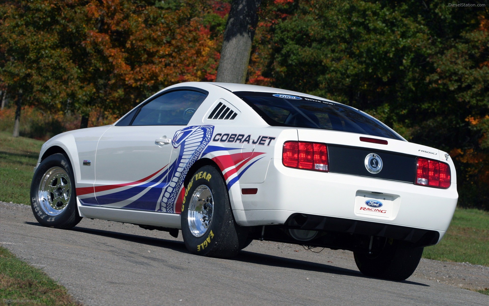 2008 Ford Cobra Jet Mustang