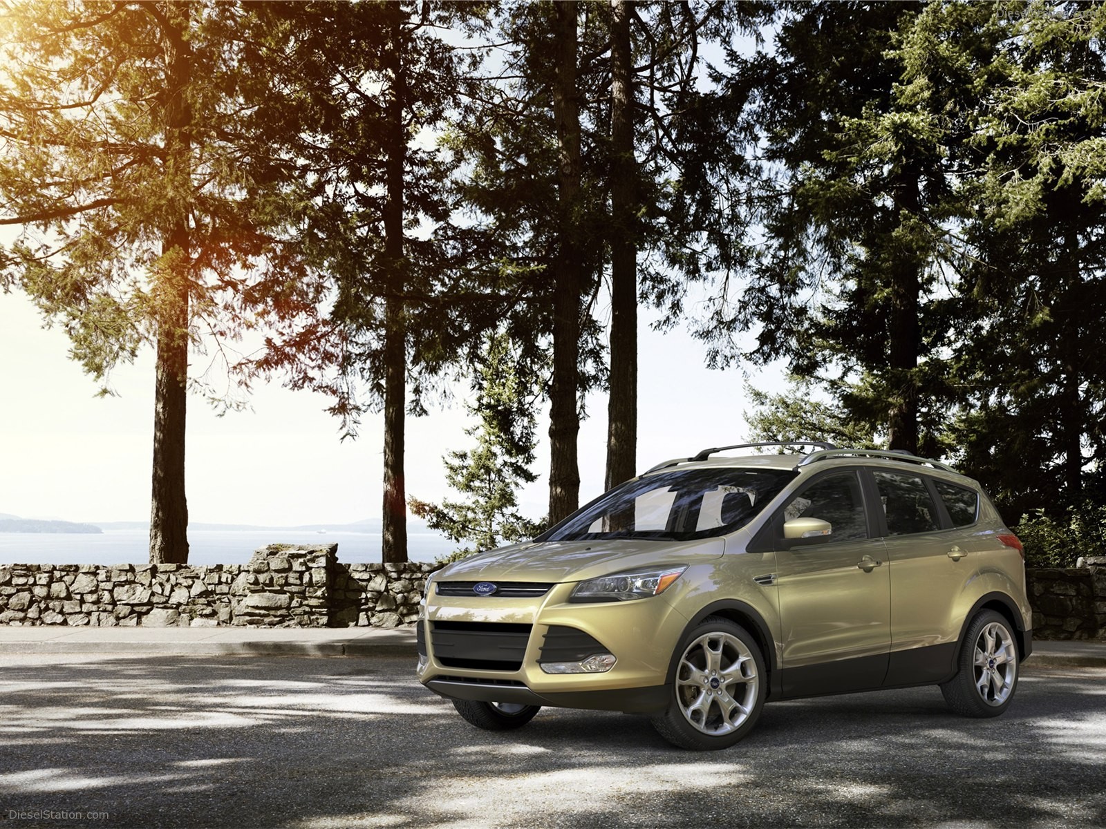 Ford Escape 2013