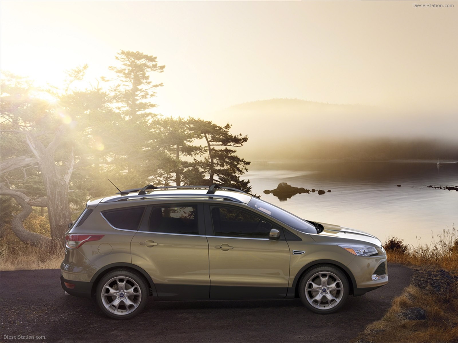 Ford Escape 2013