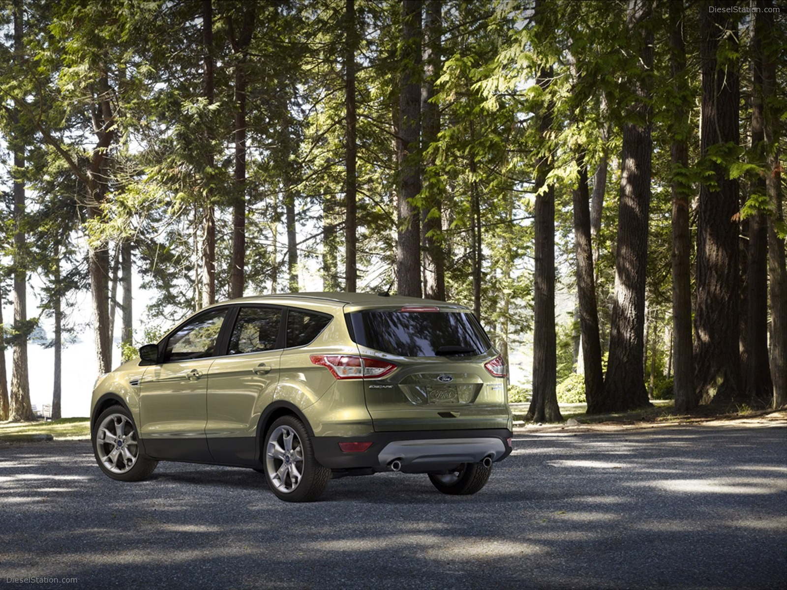 Ford Escape 2013