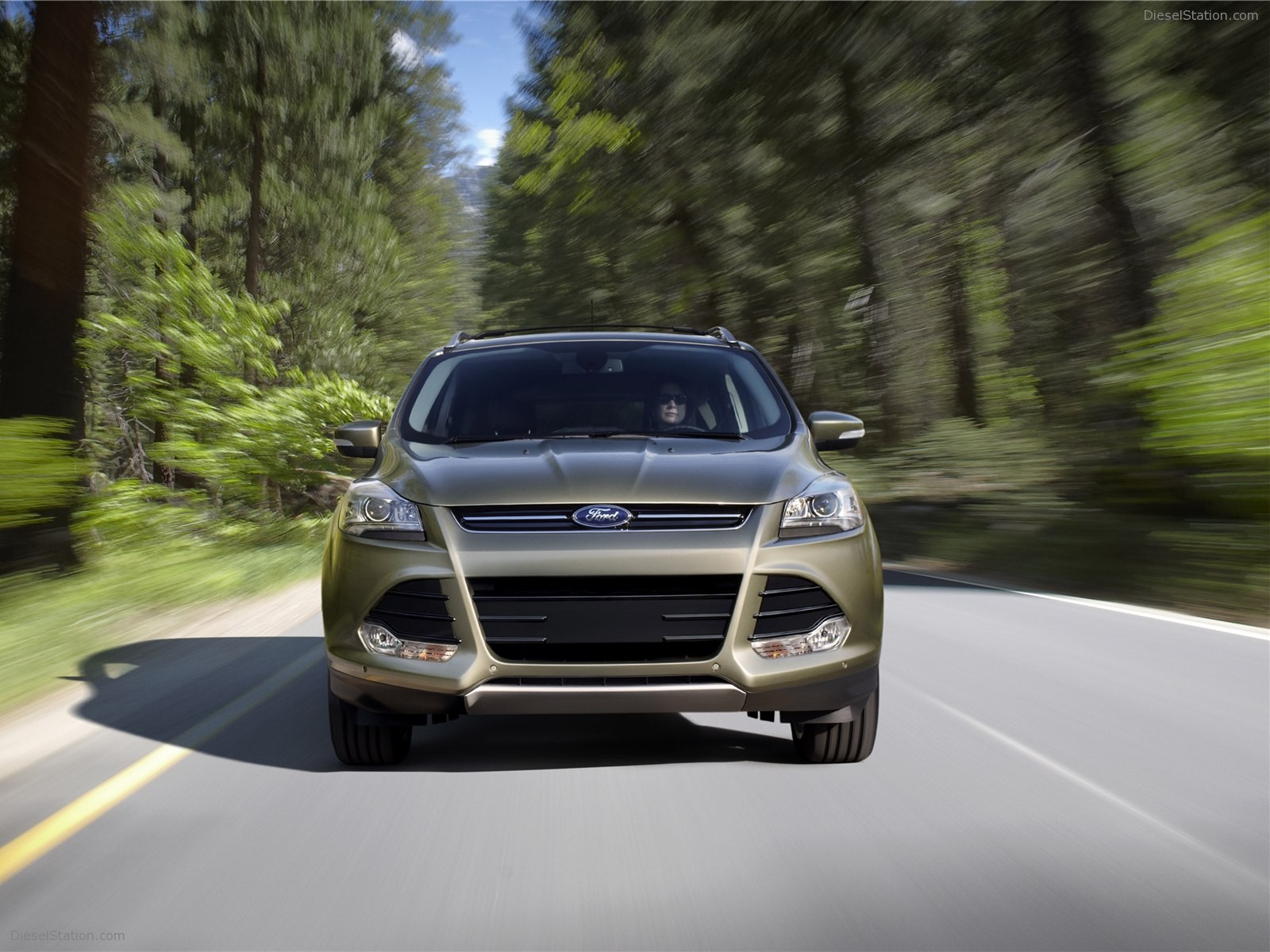 Ford Escape 2013