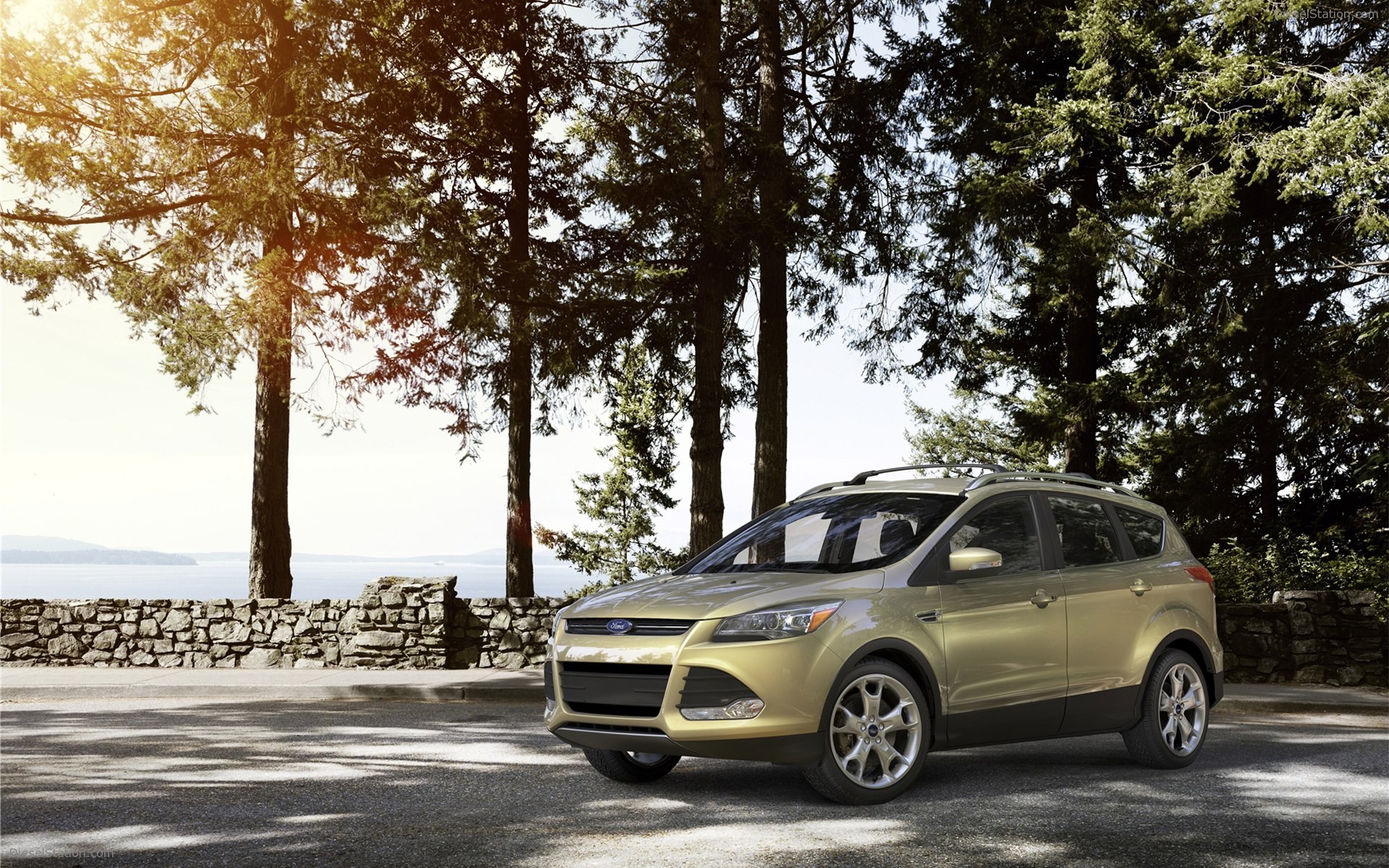 Ford Escape 2013