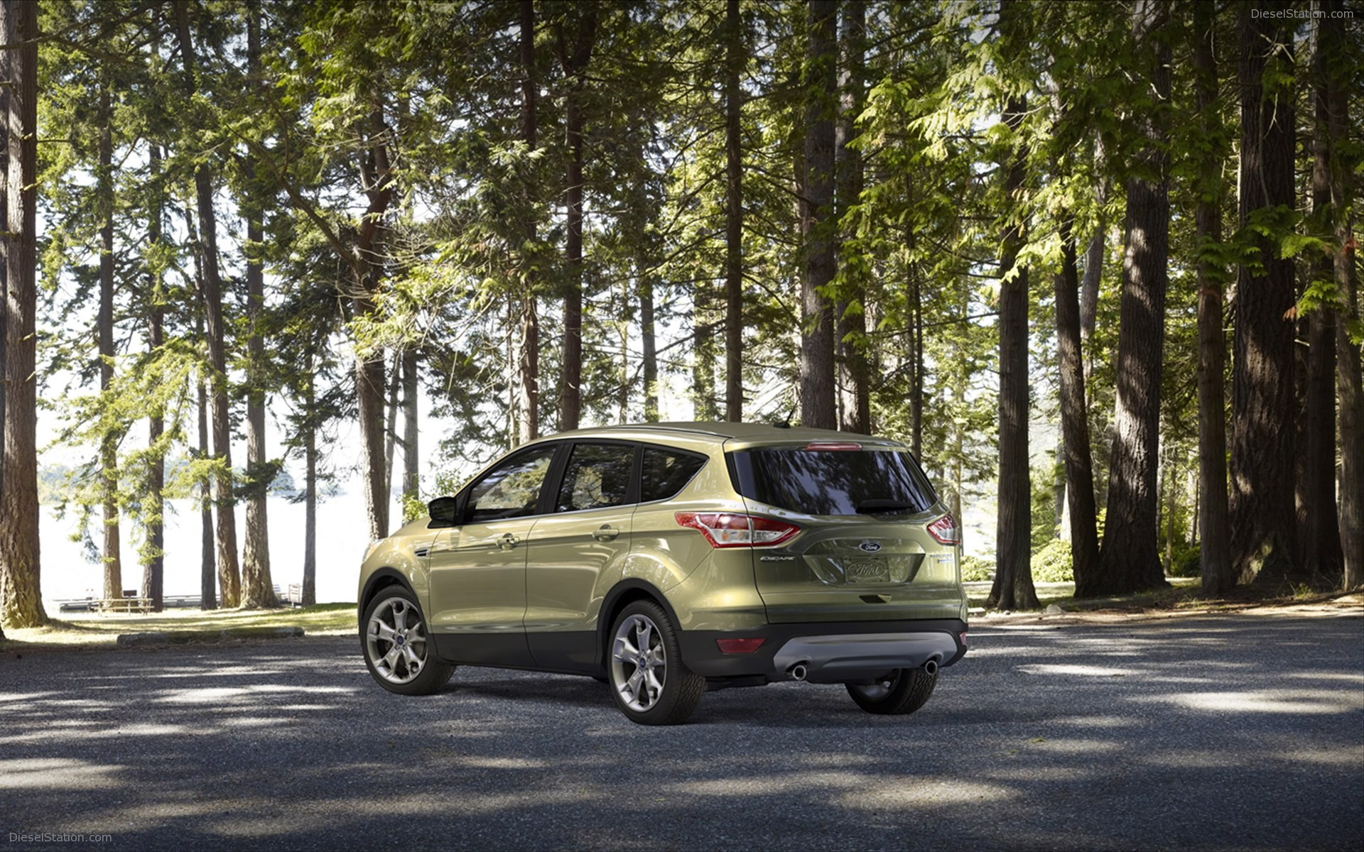 Ford Escape 2013