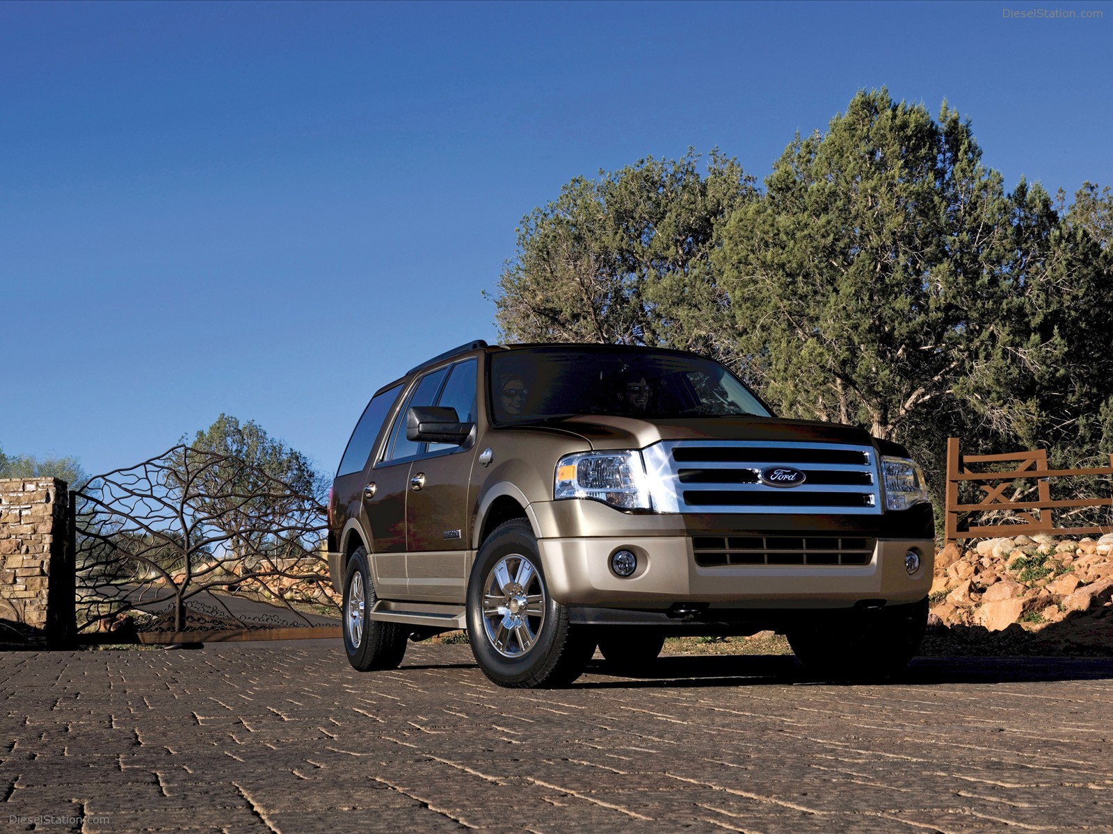 Ford Expedition 2009