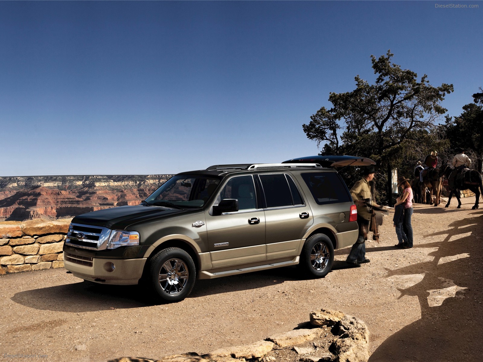 Ford Expedition 2009